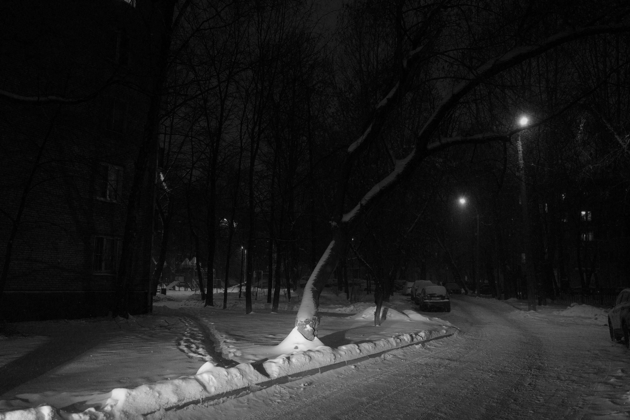 — 2025. Фотограф Злата Спицына