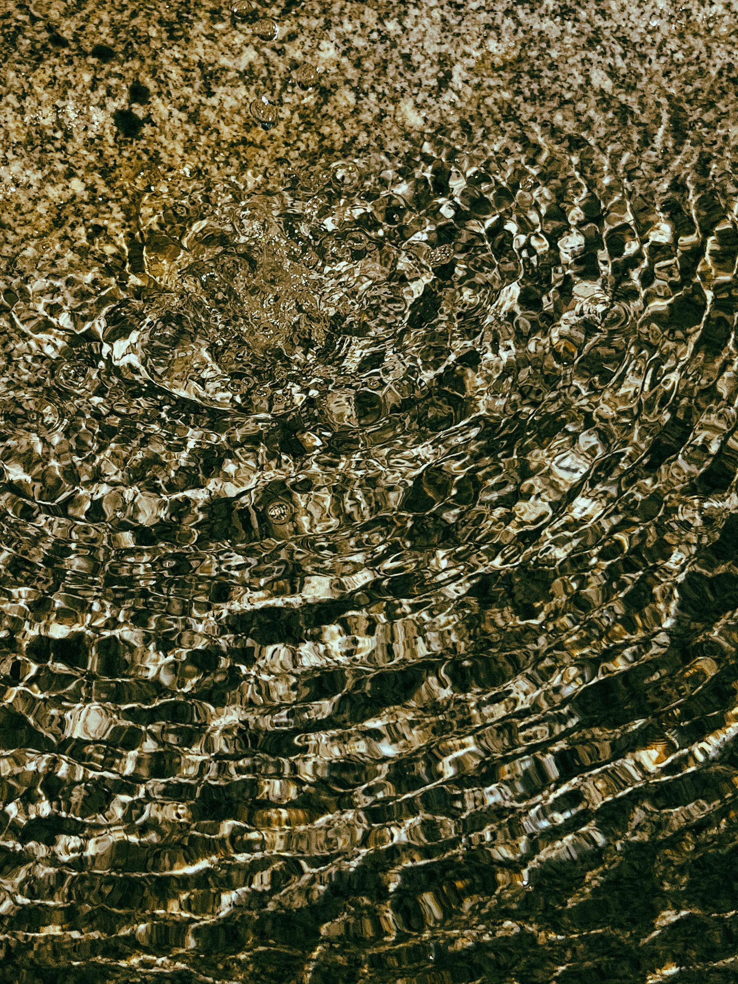 КРАСНОДАР. Портретный и лавстори фотограф в Стерлитамаке Альбина Шарт