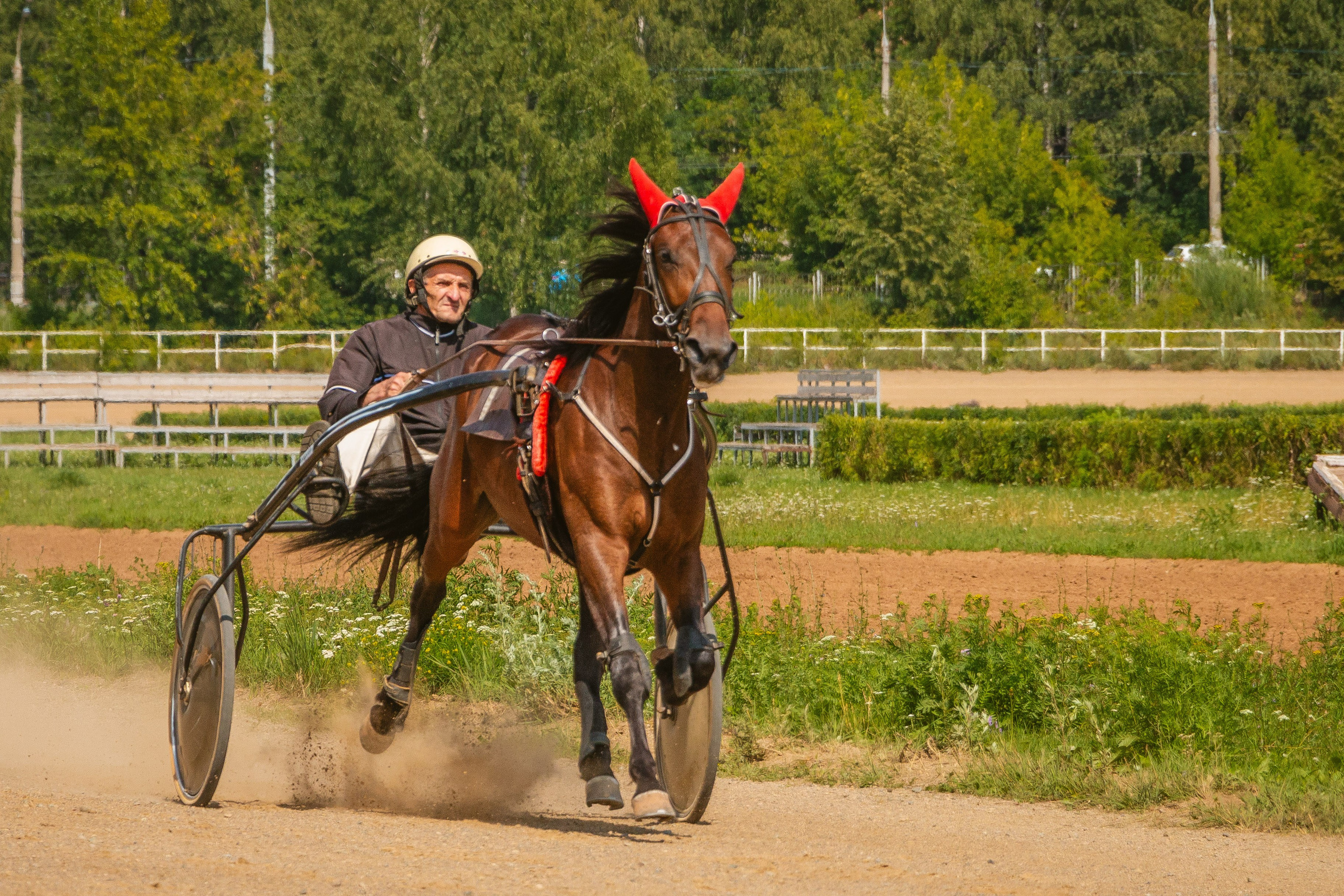 Рысистые бега. Ижевск 2023. Олег Романов. Мастер фото по спорту