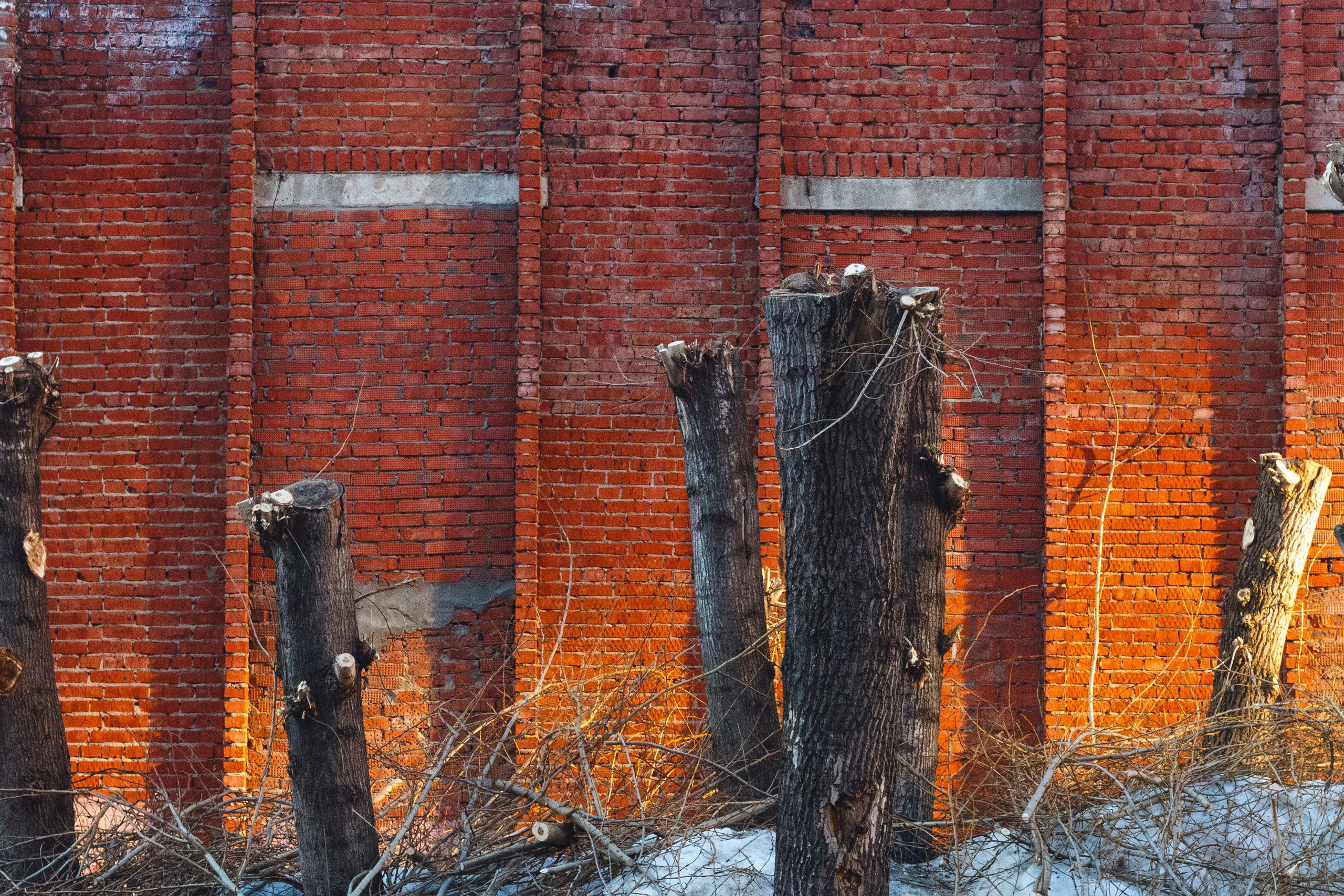 Родные узоры. Россия. Олег Романов. Мастер фото по спорту