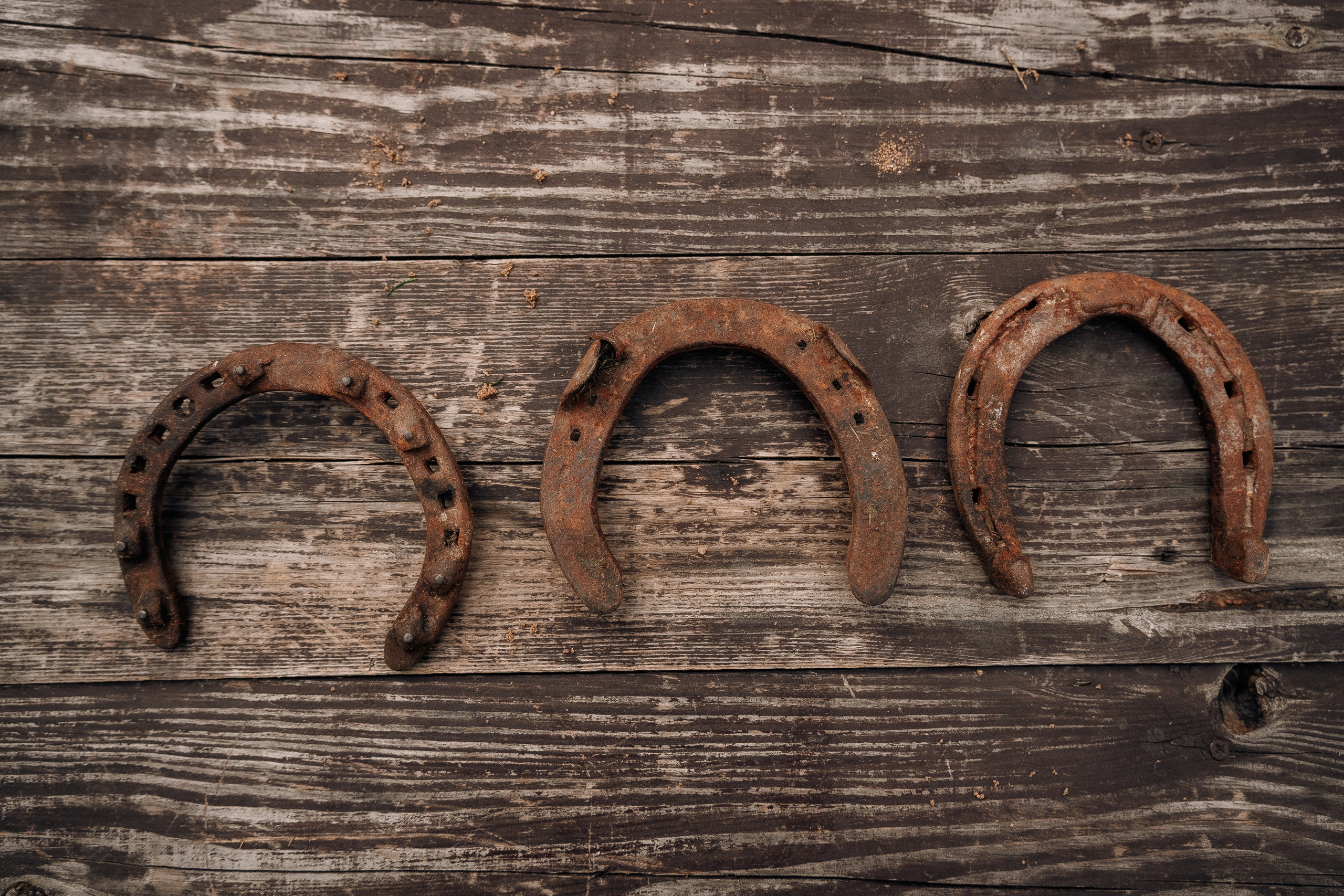 Фотосъемка мероприятия в ранчо Аванпост. Свадебный и семейный фотограф в Москве и МО Геннадий Туманцев