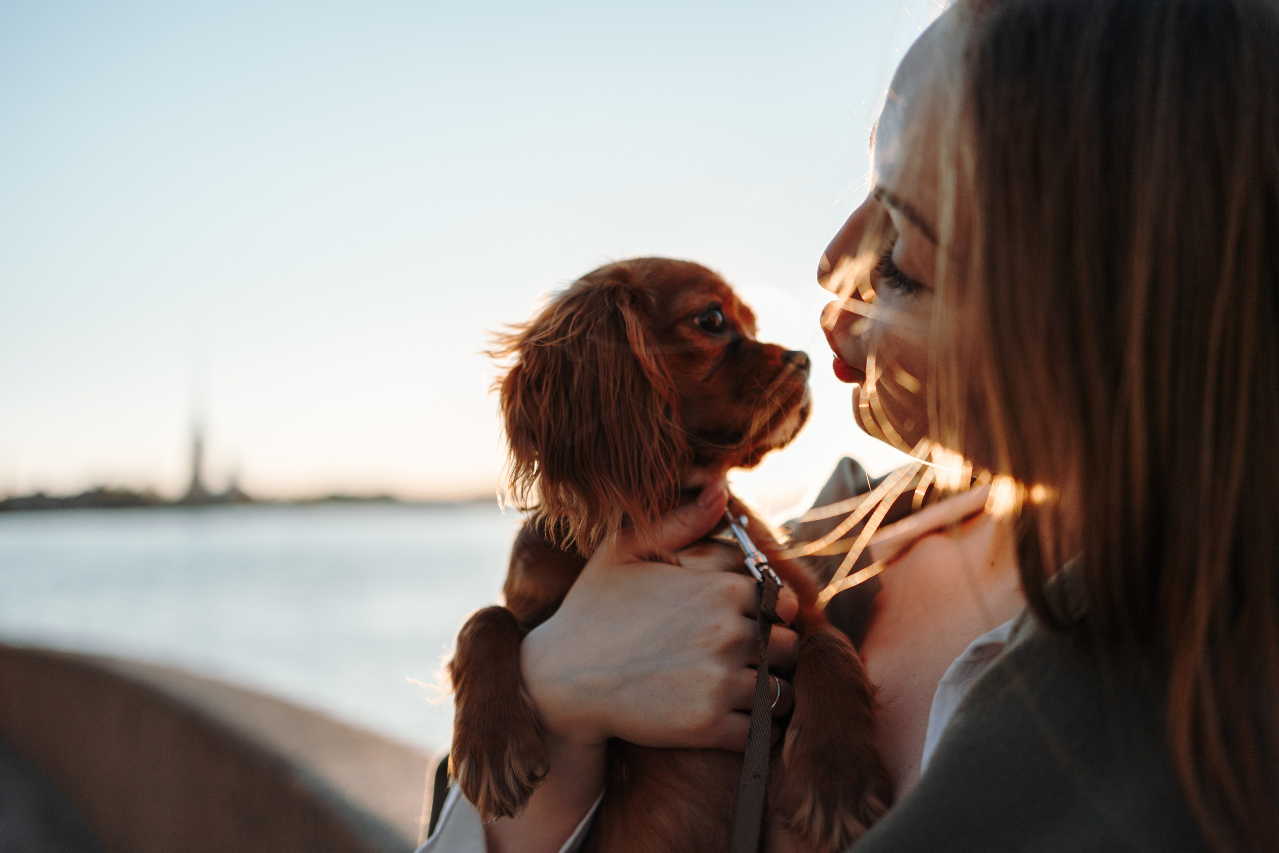 Аня, Стеша и Степан. Фотограф — Анималист | Санкт-Петербург