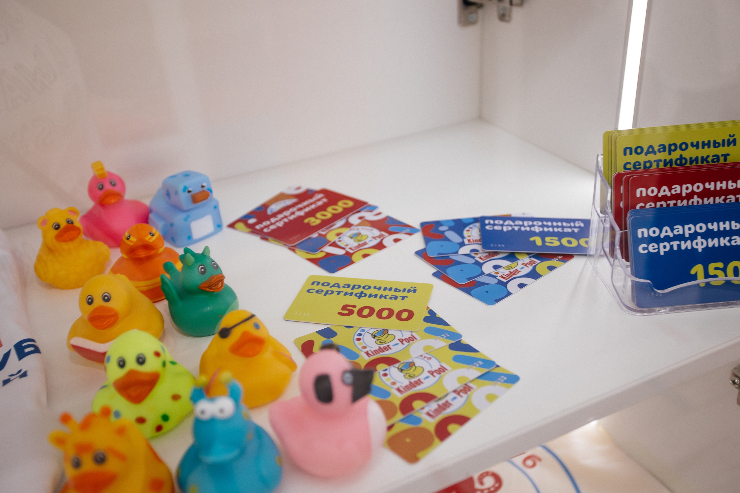 Открытие бассейна. Фотограф в Иркутске