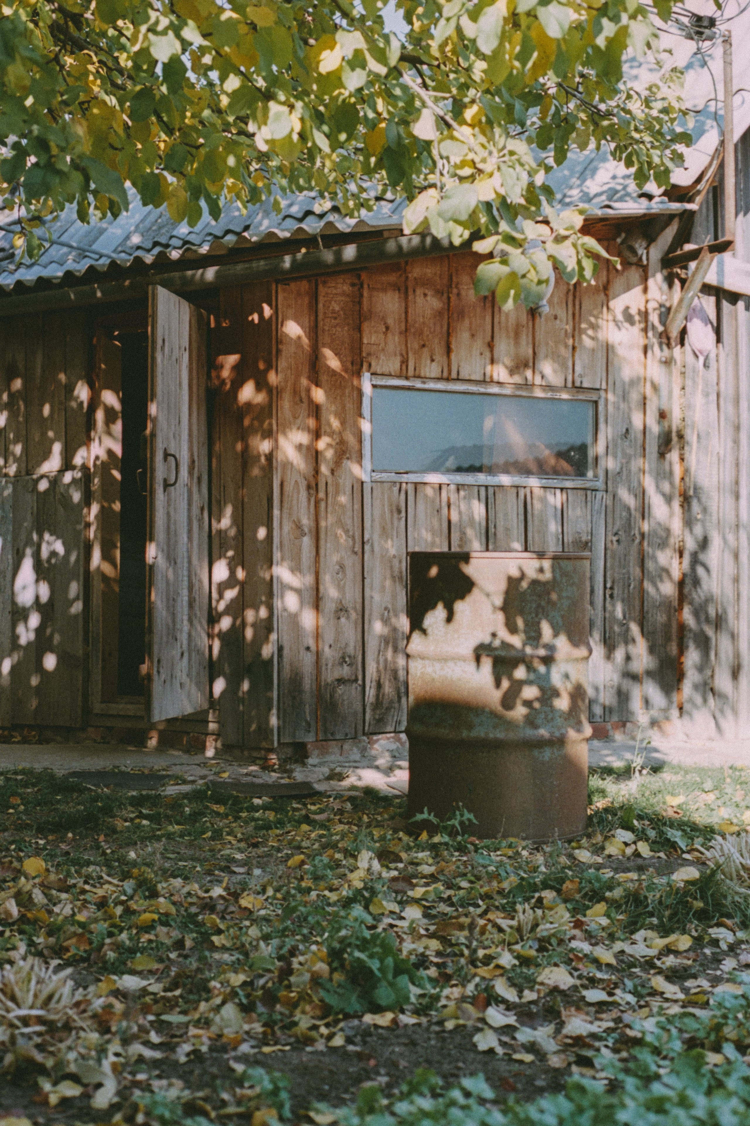 Пленочная история. Дмитрий Пропадалин, Нейрофотография