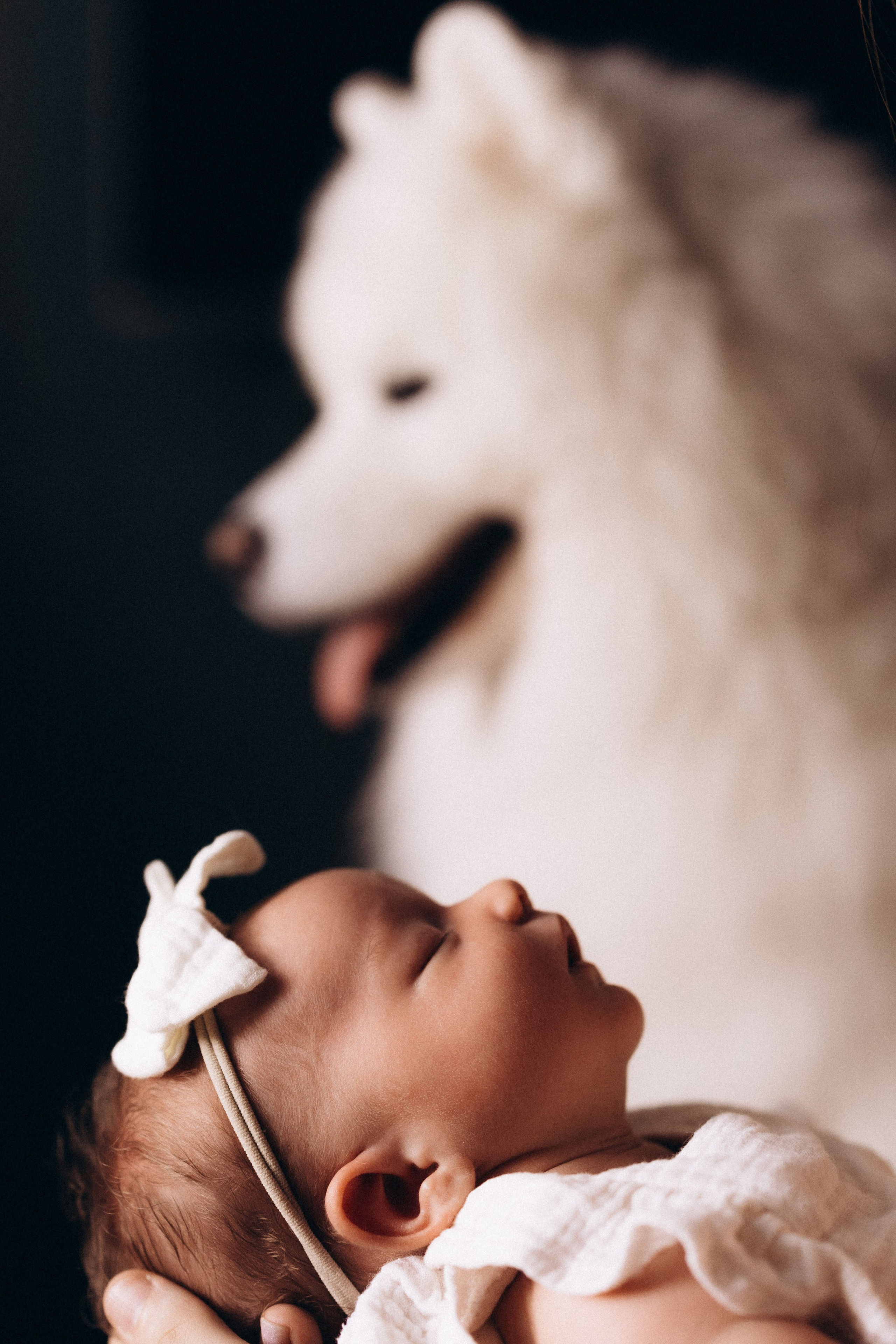 Василиса. Евгения Пелипас