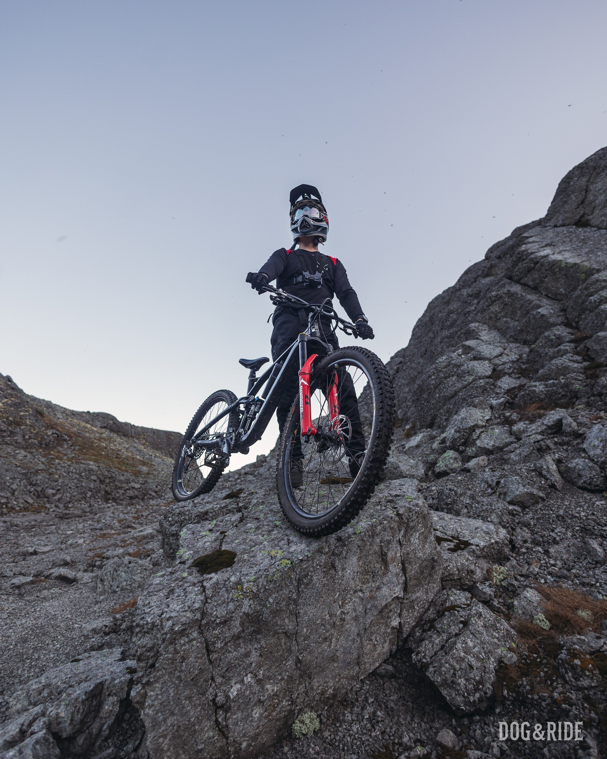 Хибины. Фотограф анималист Никита Натальный