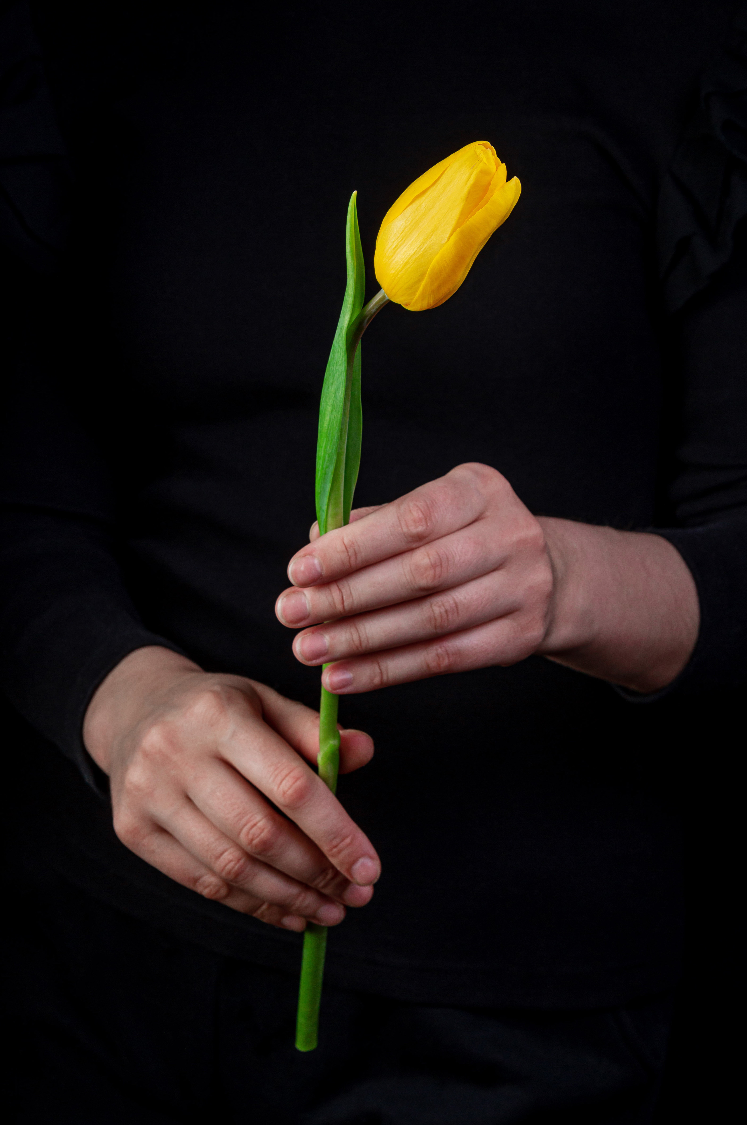 Меню, соцсети. ФУД ФОТОГРАФ САРАТОВ, РЕКЛАМНЫЙ ФОТОГРАФ | АЛЕКСАНДР ГАВРИЛЫЧЕВ