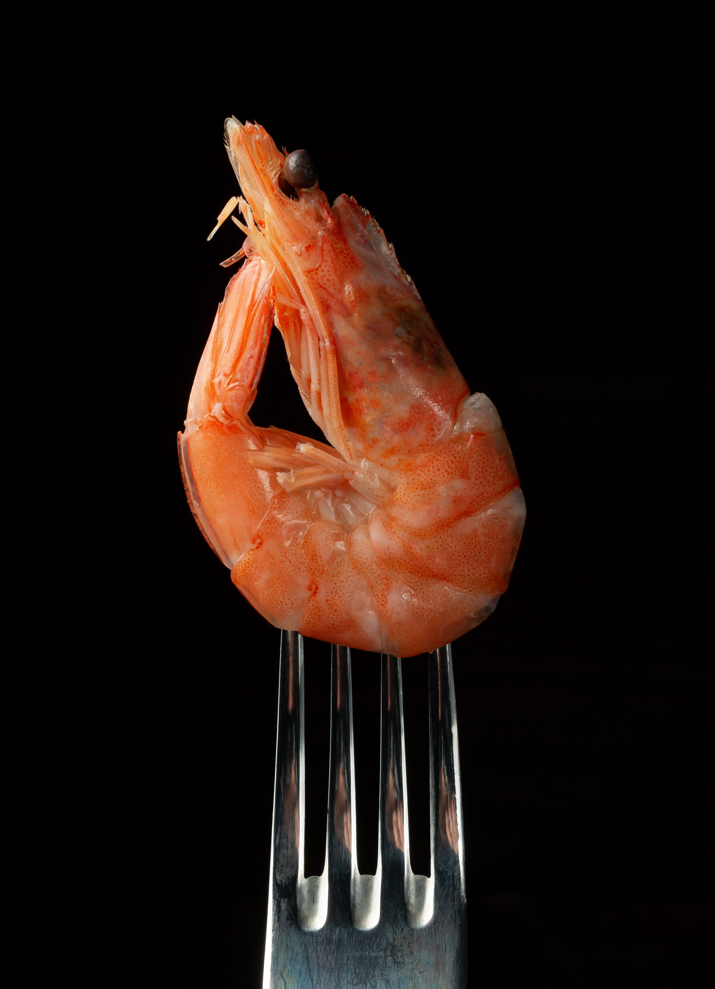 Меню, соцсети. ФУД ФОТОГРАФ САРАТОВ, РЕКЛАМНЫЙ ФОТОГРАФ | АЛЕКСАНДР ГАВРИЛЫЧЕВ