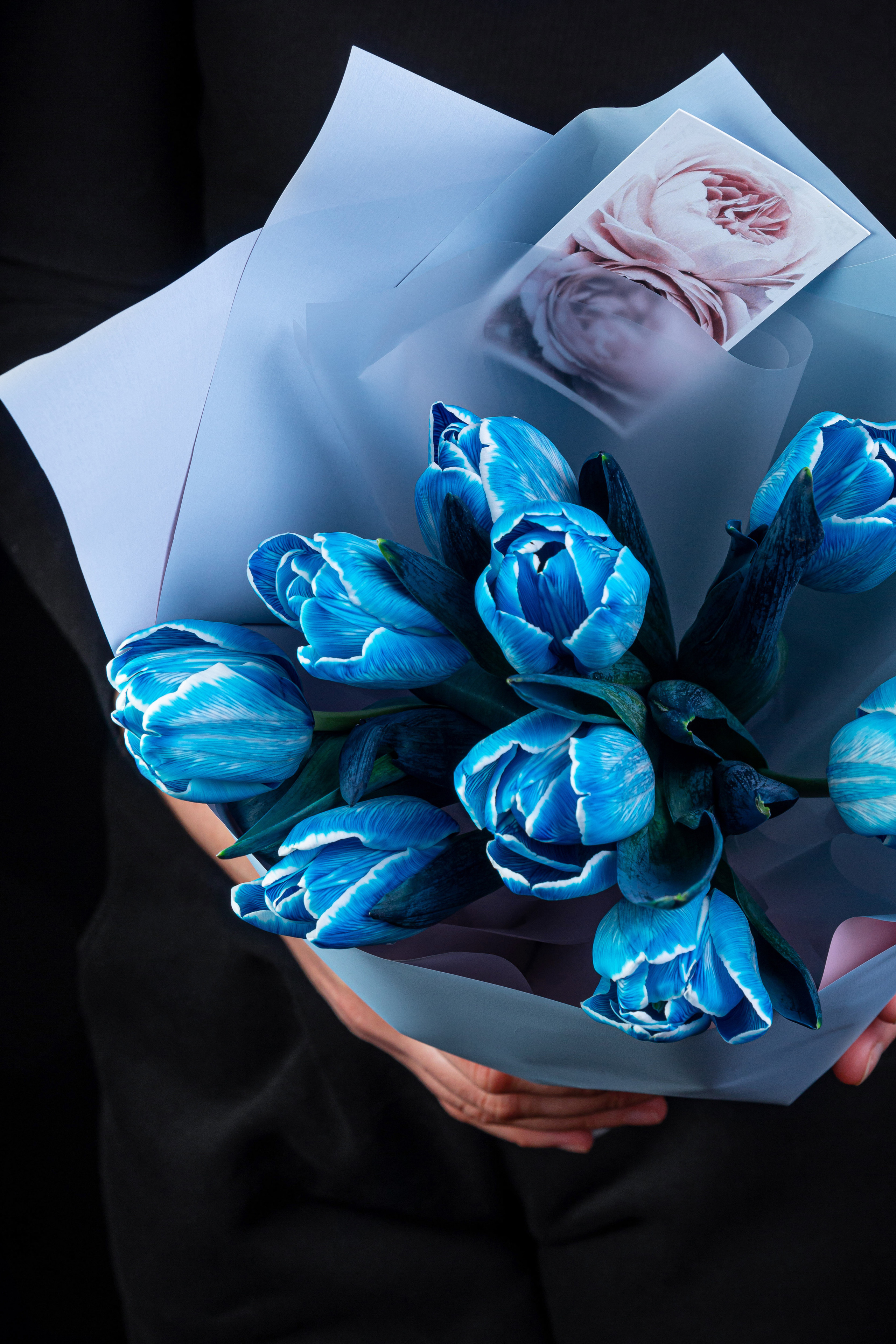 Меню, соцсети. ФУД ФОТОГРАФ САРАТОВ, РЕКЛАМНЫЙ ФОТОГРАФ | АЛЕКСАНДР ГАВРИЛЫЧЕВ