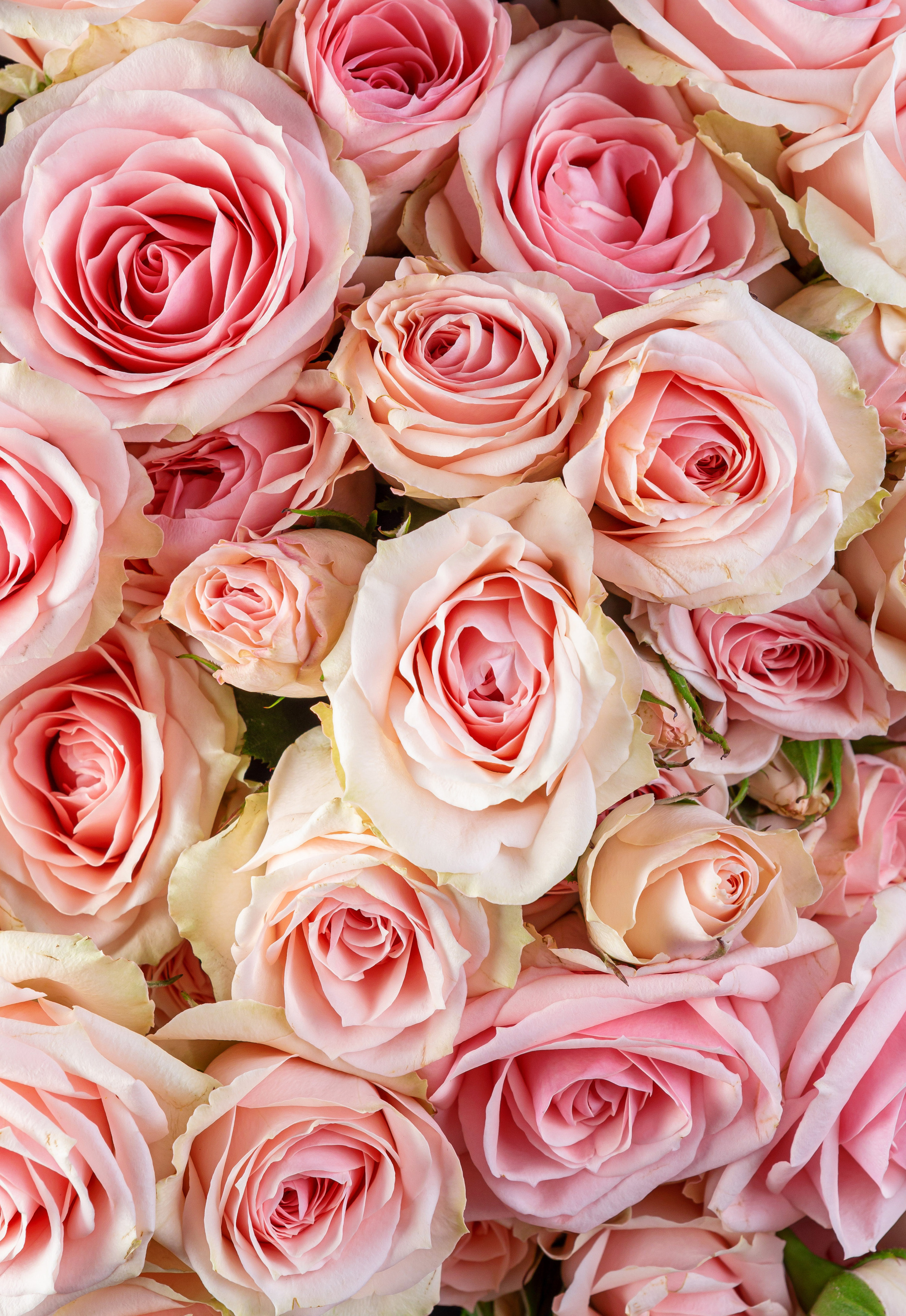 Меню, соцсети. ФУД ФОТОГРАФ САРАТОВ, РЕКЛАМНЫЙ ФОТОГРАФ | АЛЕКСАНДР ГАВРИЛЫЧЕВ