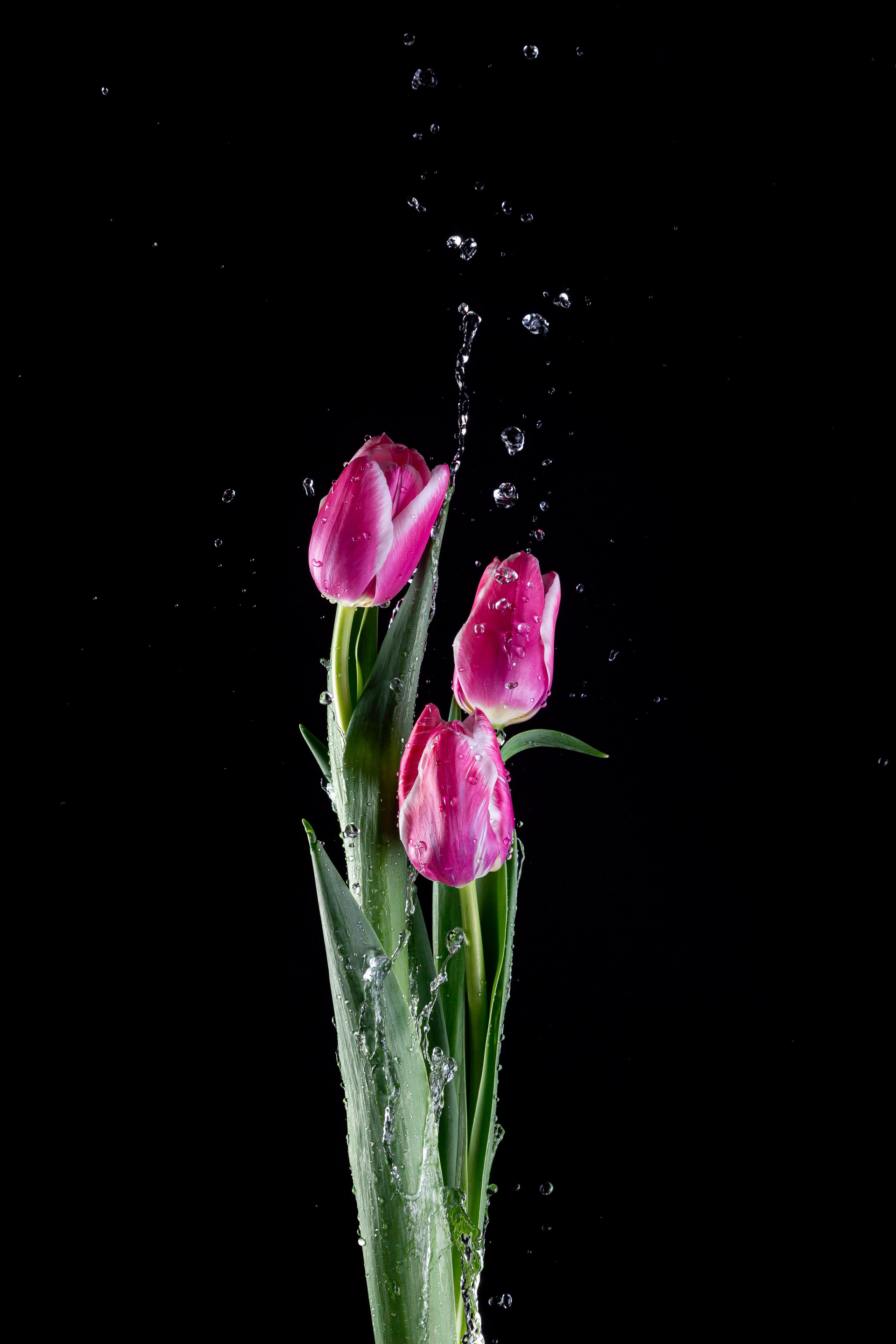 Меню, соцсети. ФУД ФОТОГРАФ САРАТОВ, РЕКЛАМНЫЙ ФОТОГРАФ | АЛЕКСАНДР ГАВРИЛЫЧЕВ