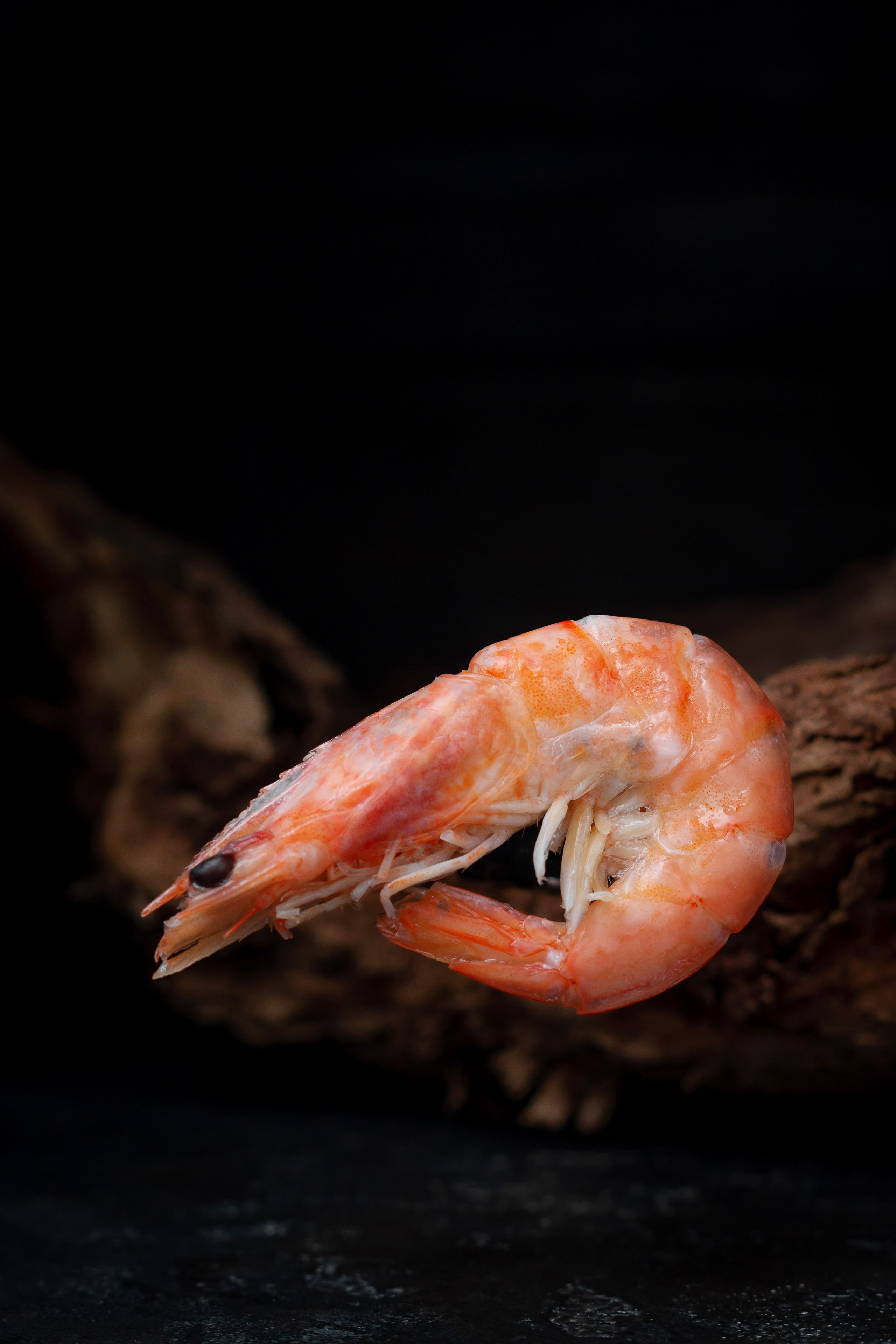 Меню, соцсети. ФУД ФОТОГРАФ САРАТОВ, РЕКЛАМНЫЙ ФОТОГРАФ | АЛЕКСАНДР ГАВРИЛЫЧЕВ