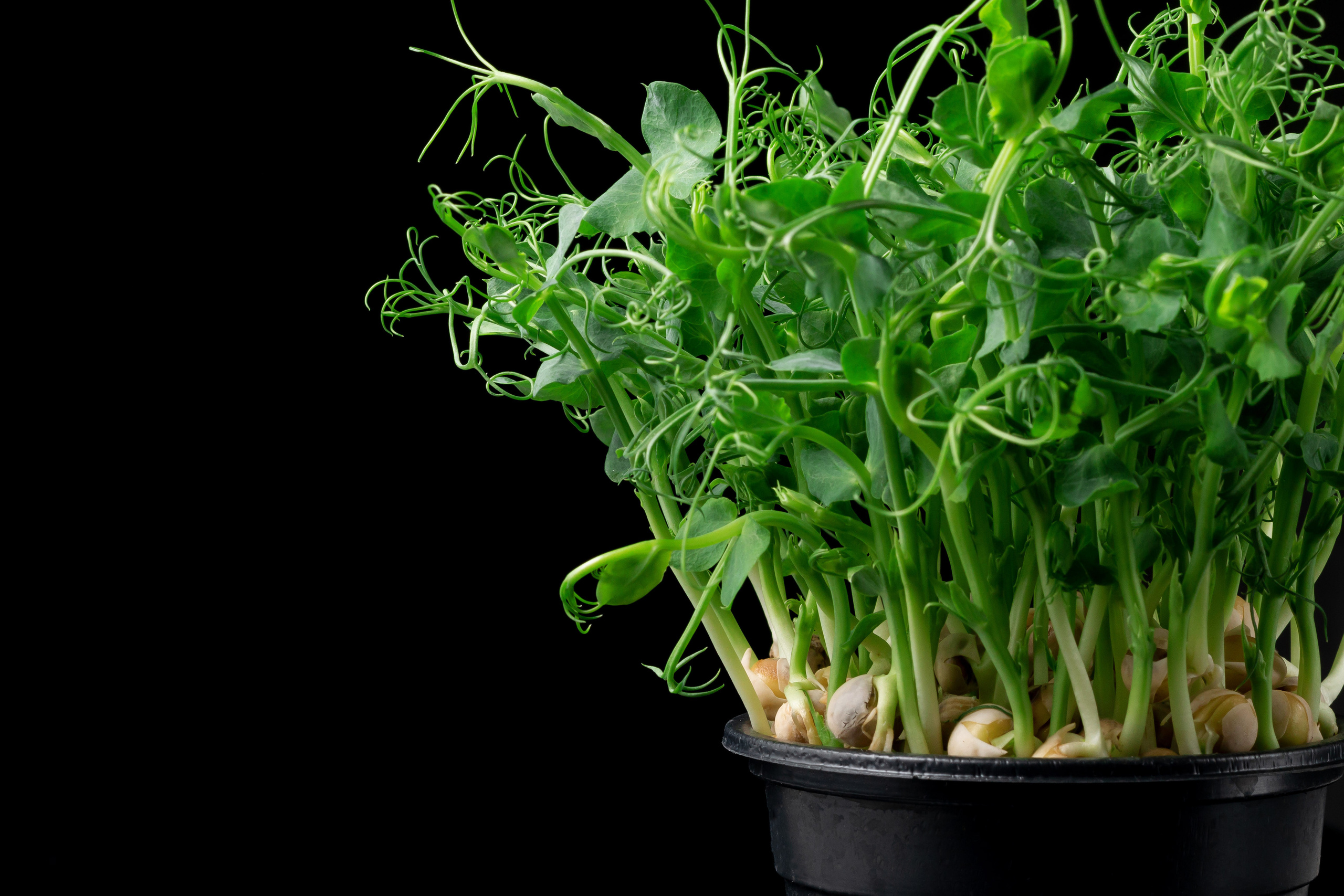 Меню, соцсети. ФУД ФОТОГРАФ САРАТОВ, РЕКЛАМНЫЙ ФОТОГРАФ | АЛЕКСАНДР ГАВРИЛЫЧЕВ