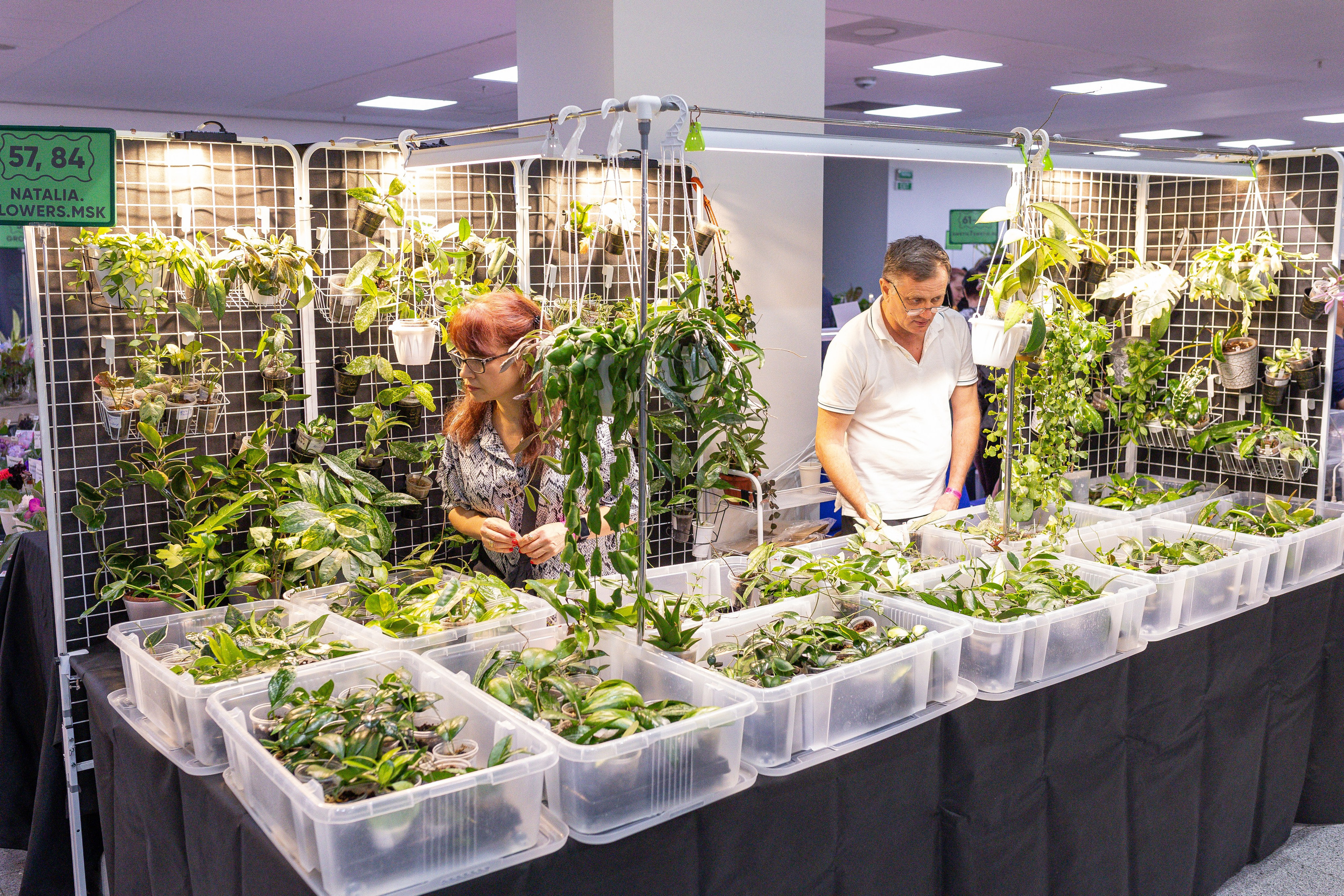 Монстериум апрель 2025. Александра Куликова фотограф, Москва