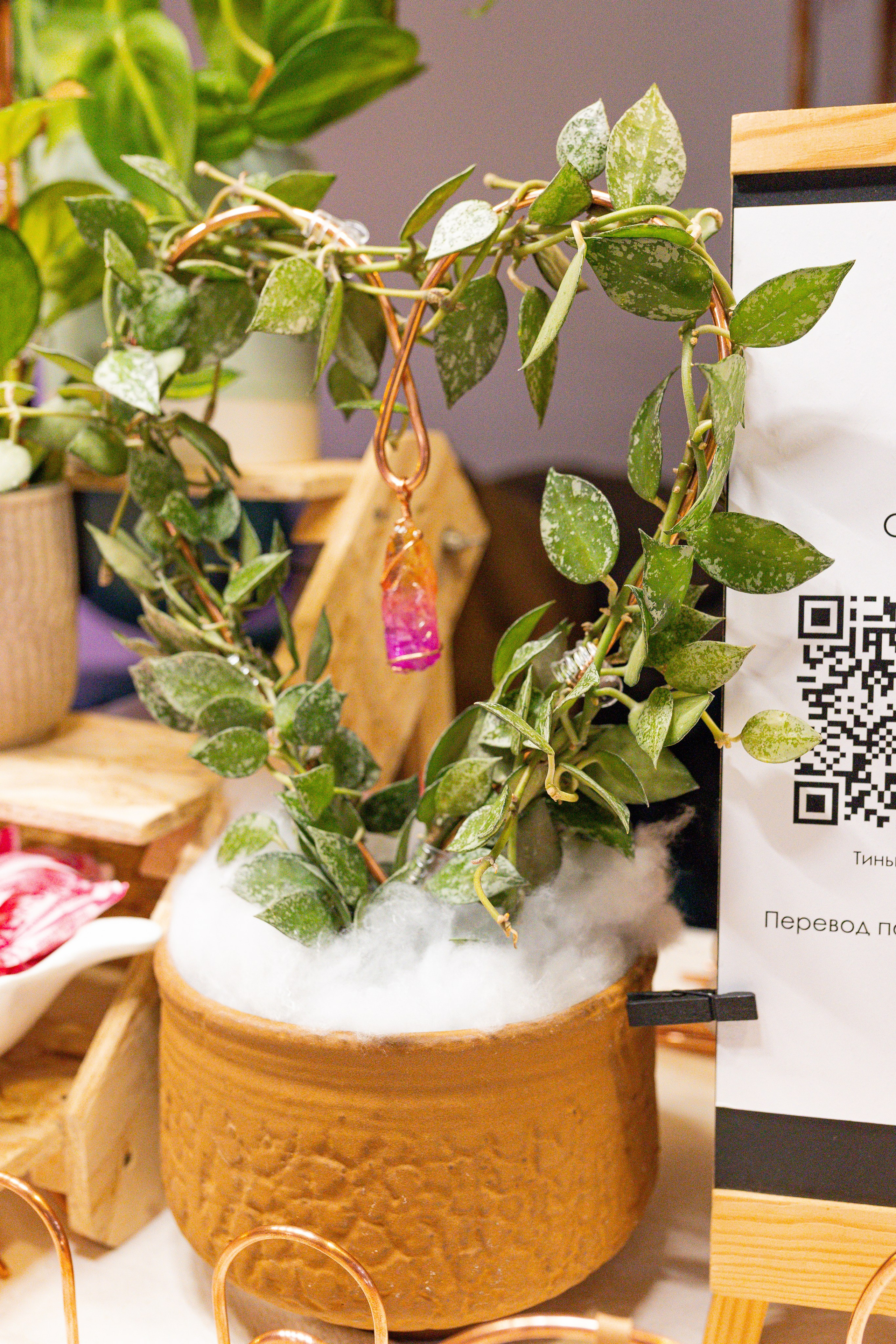 Growbox декабрь 2025. Александра Куликова фотограф, Москва