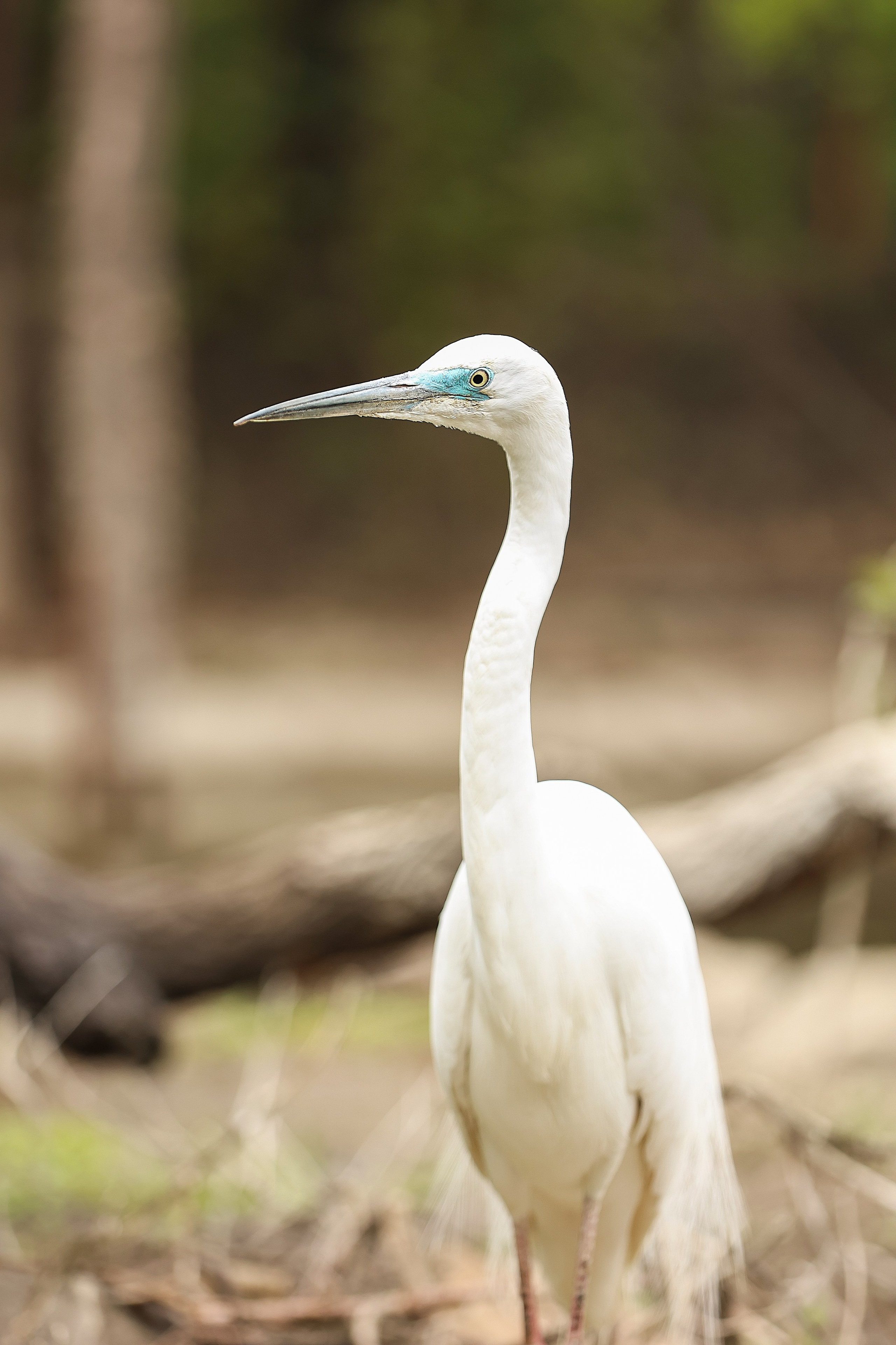 Зоопарк Малинки. Фотограф-АниМалист Анна Абрамова