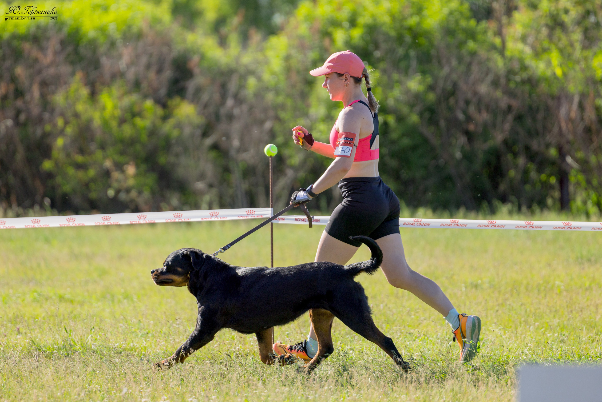 Воронеж моно ротвейлеров 25-26.05.2024. Фотограф-анималист Юлия Германика