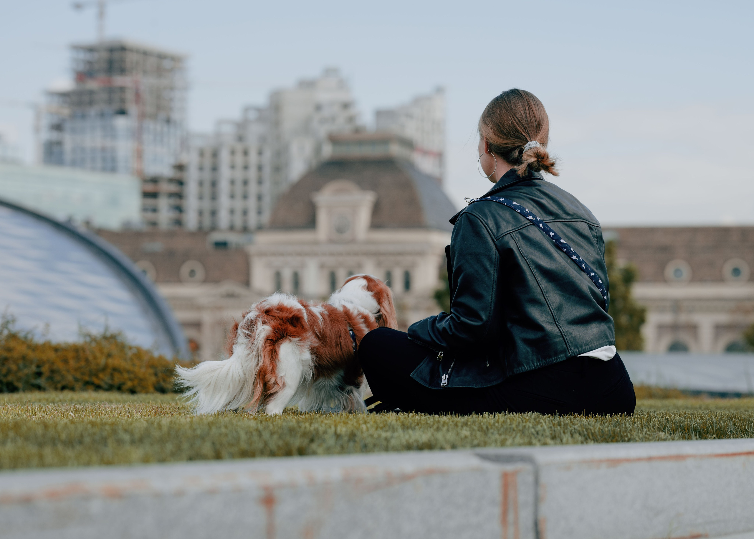 Дольче. Фотограф- анималист Александра Матвеева