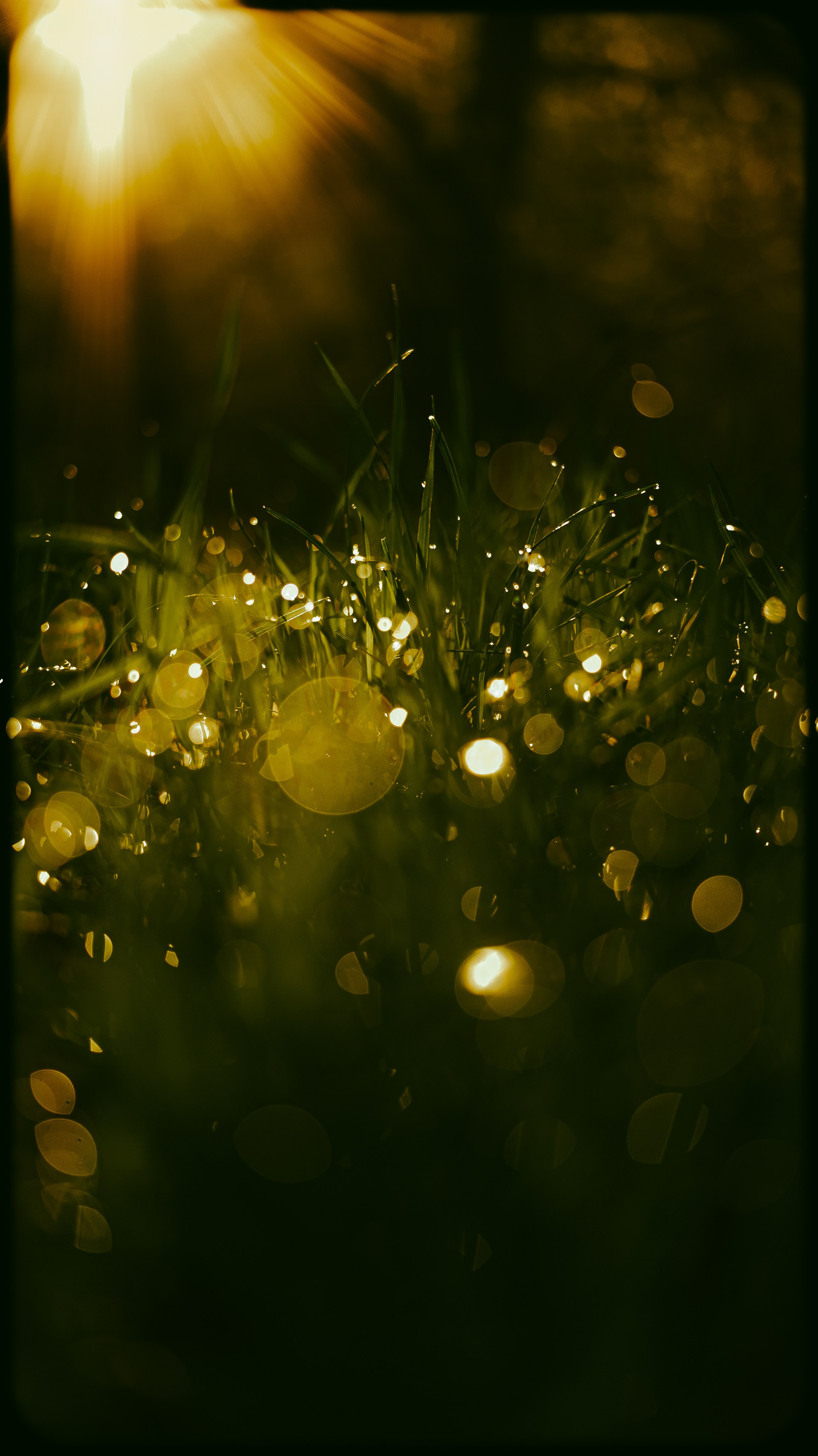 Wallpapers. Фотограф Казань