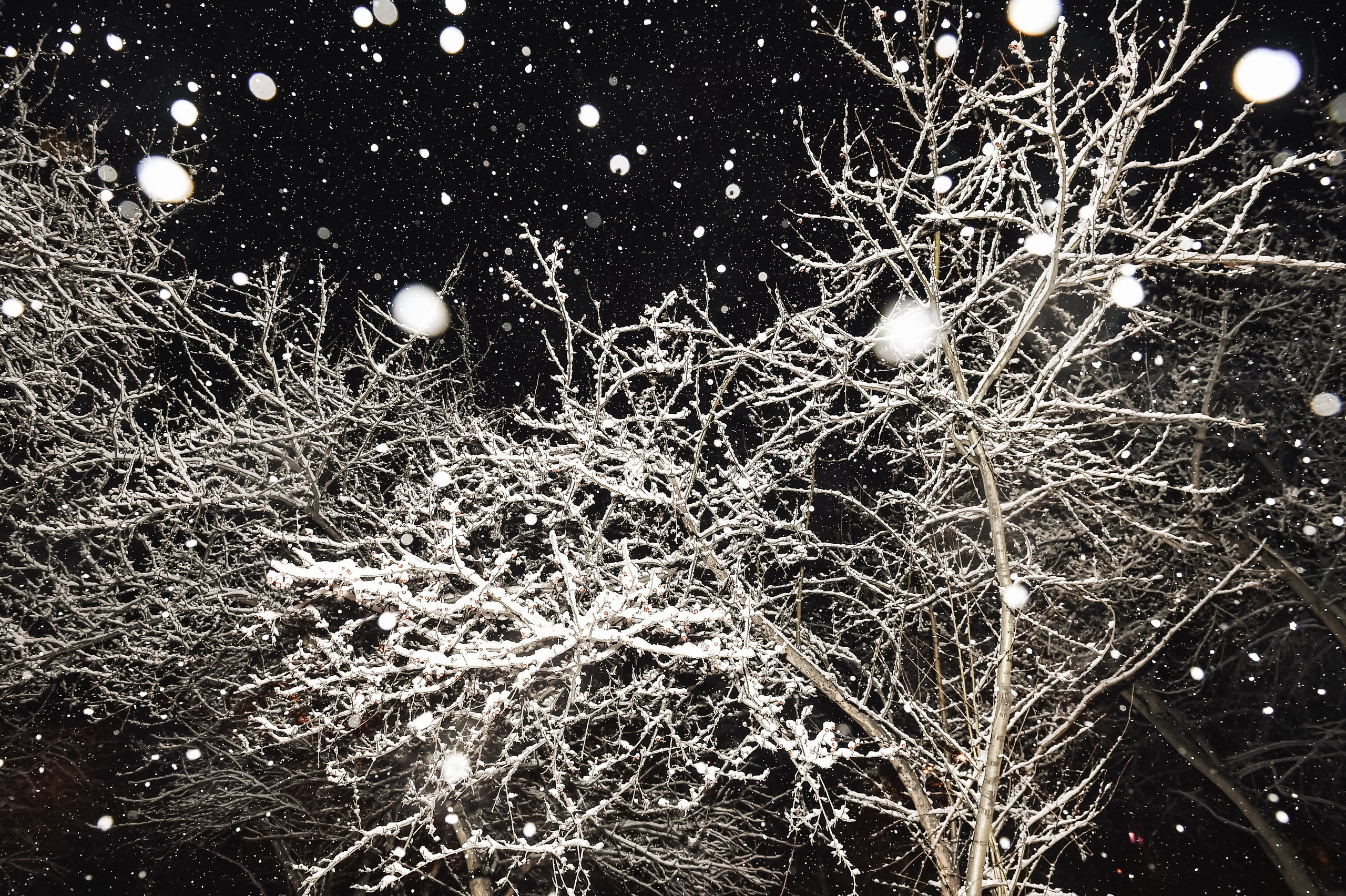 «Пока течет большая вода». Документальный и коммерческий фотограф Влад Некрасов