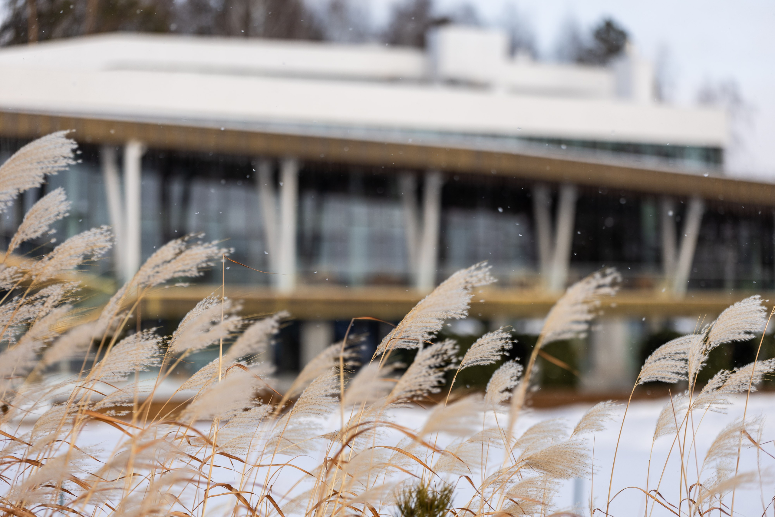 Pine Creek Resort. Фотограф Родион Нарудинов