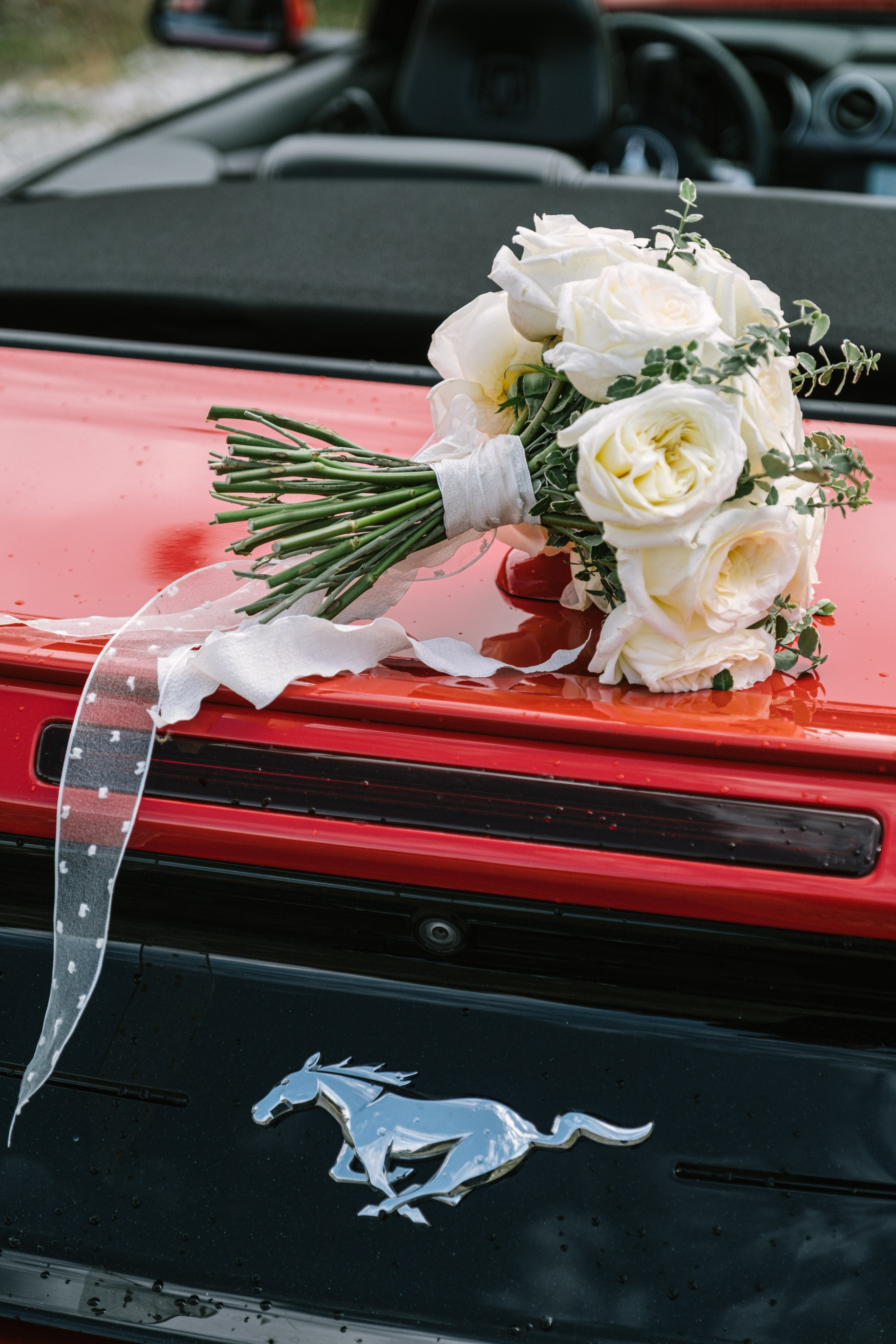 Виктория / Евгений. Свадебный Видеограф Фотограф в Сочи