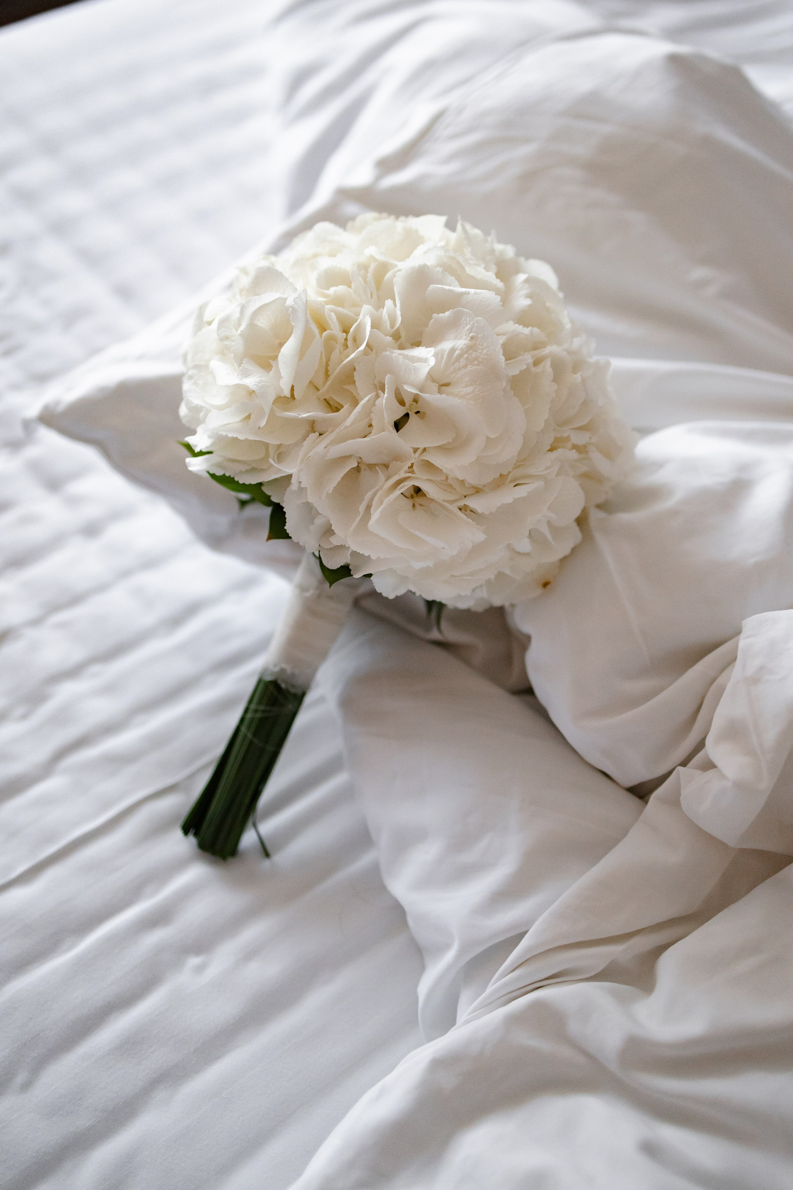 Алла и Николай. Щетинина Наталья свадебный фотограф Барнаул