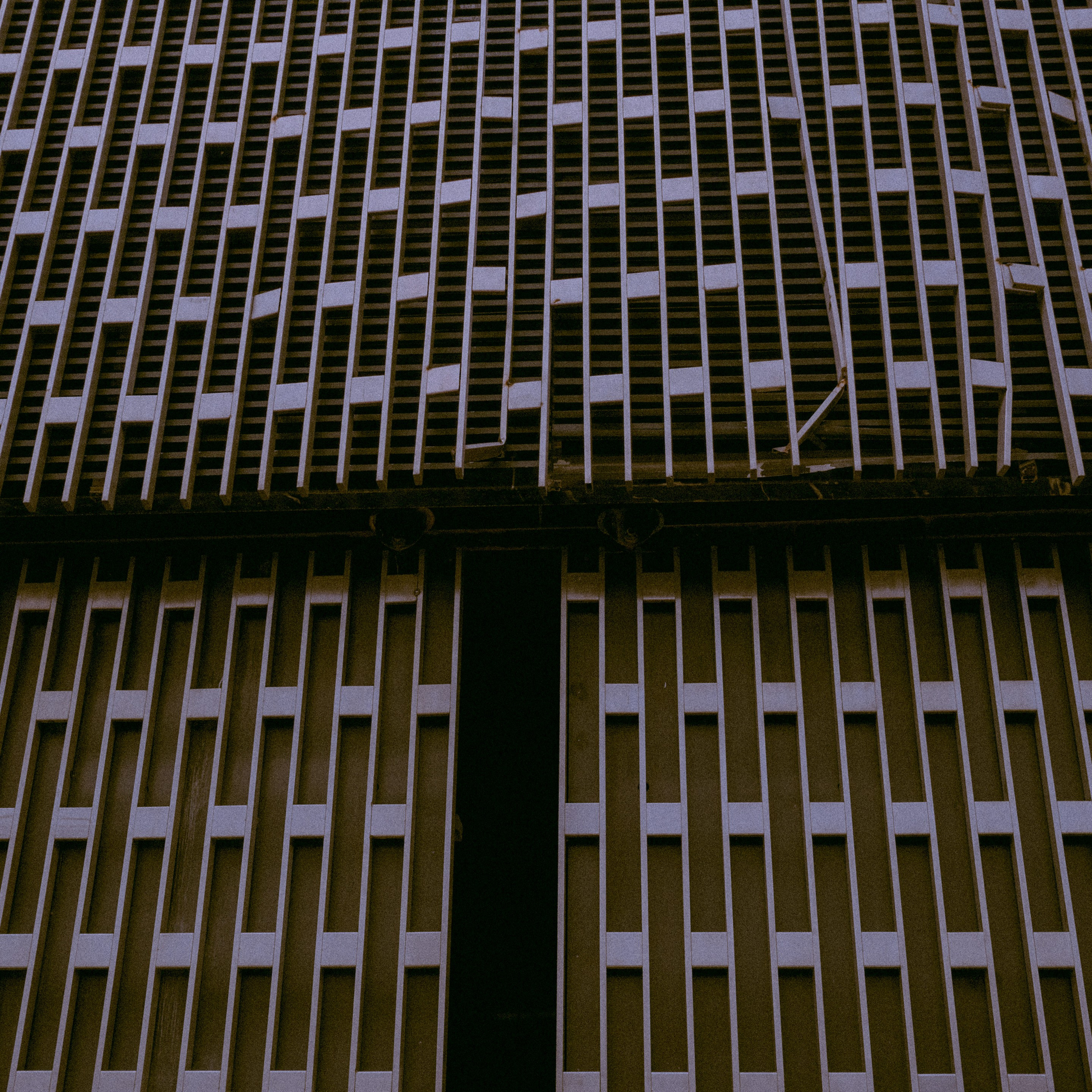 Краснодар. LIYALEE PHOTO