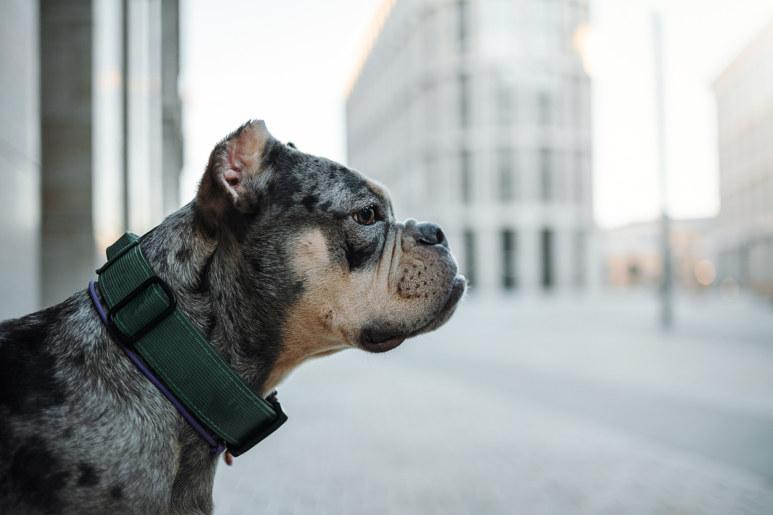 Лера и ее булочки. Фотограф — Анималист | Санкт-Петербург