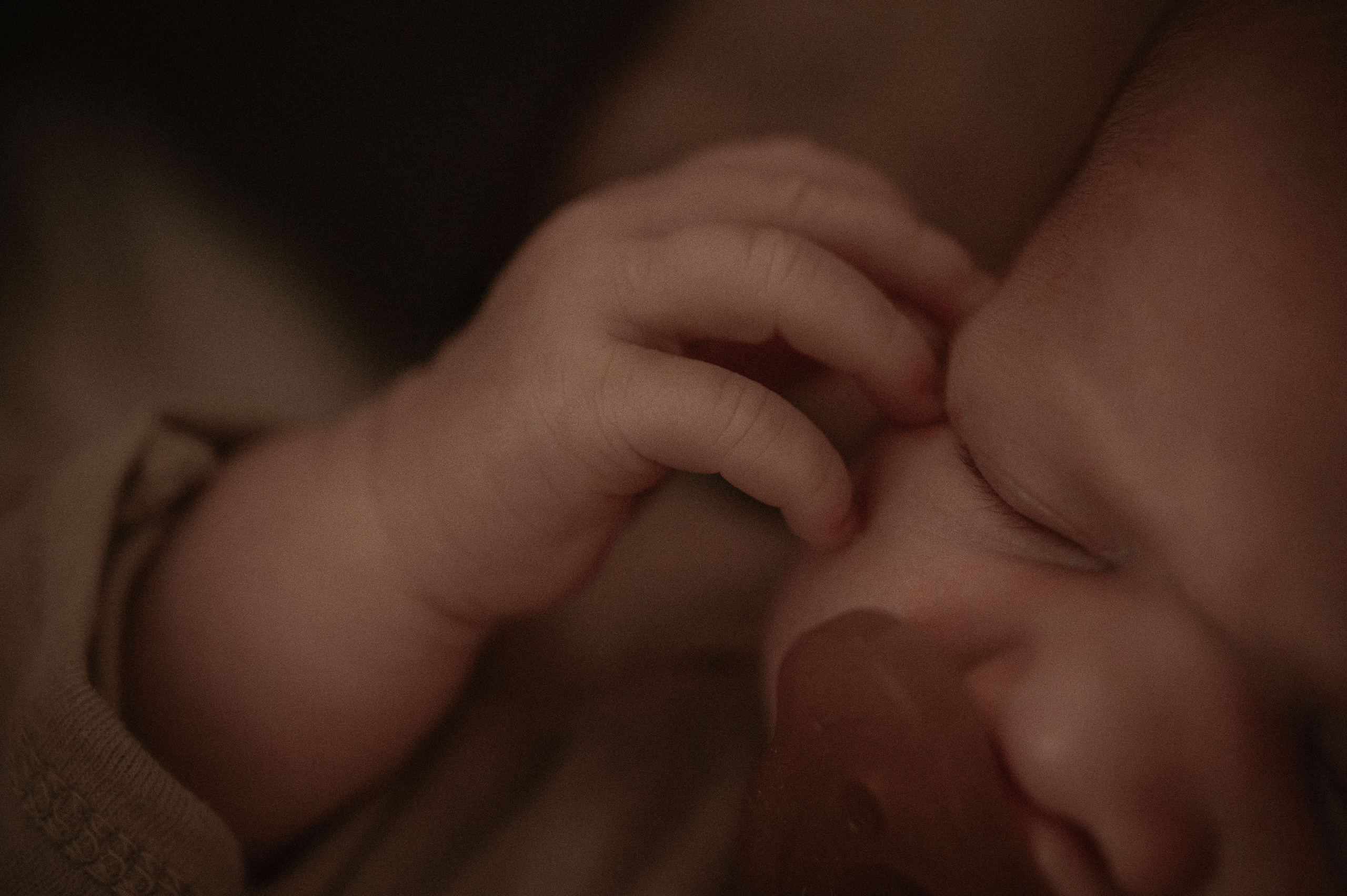 Лизавета, Никита и Мирослава. Фотограф беременности и семьи, домашние съемки, Ньюборн