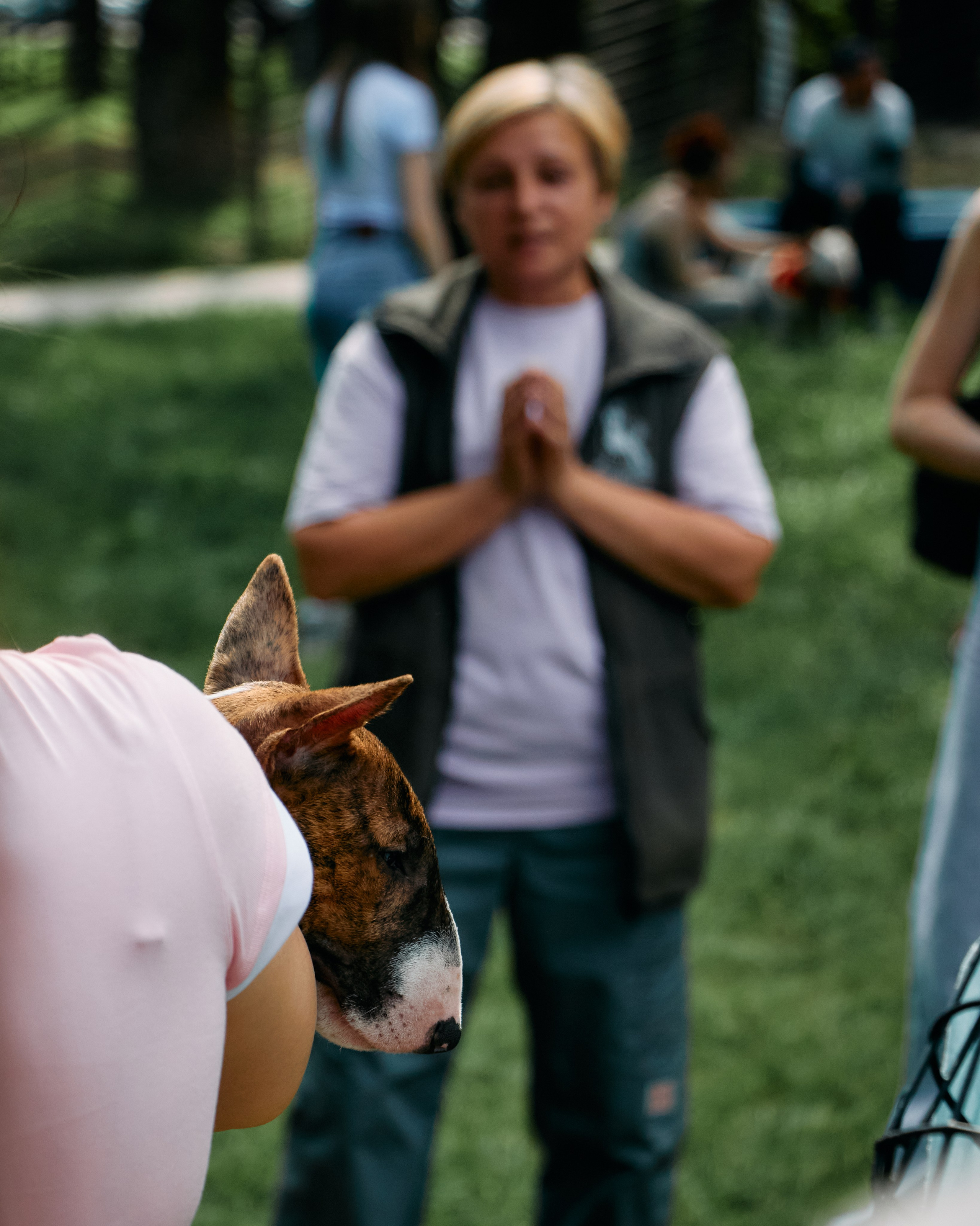 Бульфест. Фотограф домашних животных в Москве | Данил Сорокин