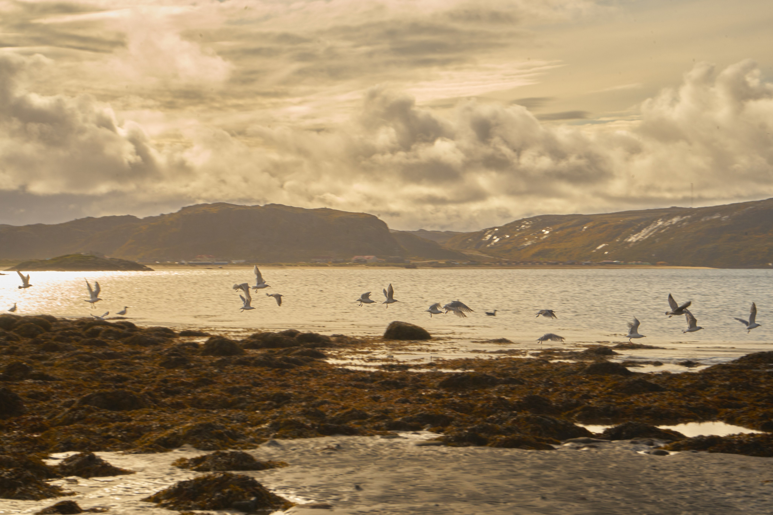 Кучерявая || Фотограф || Самара·Питер·Москва