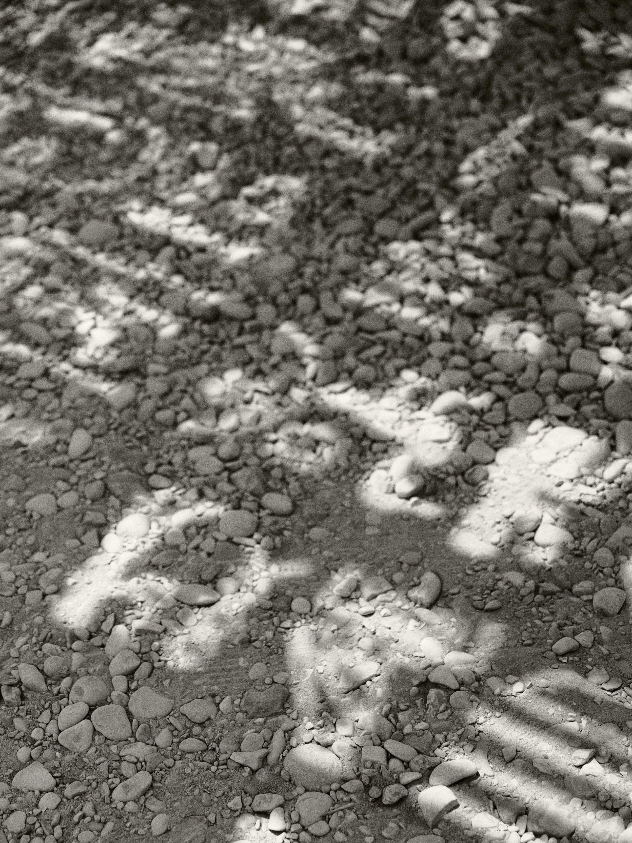 B&W. Jorgis — фотограф в Хургаде / обучение фотографии