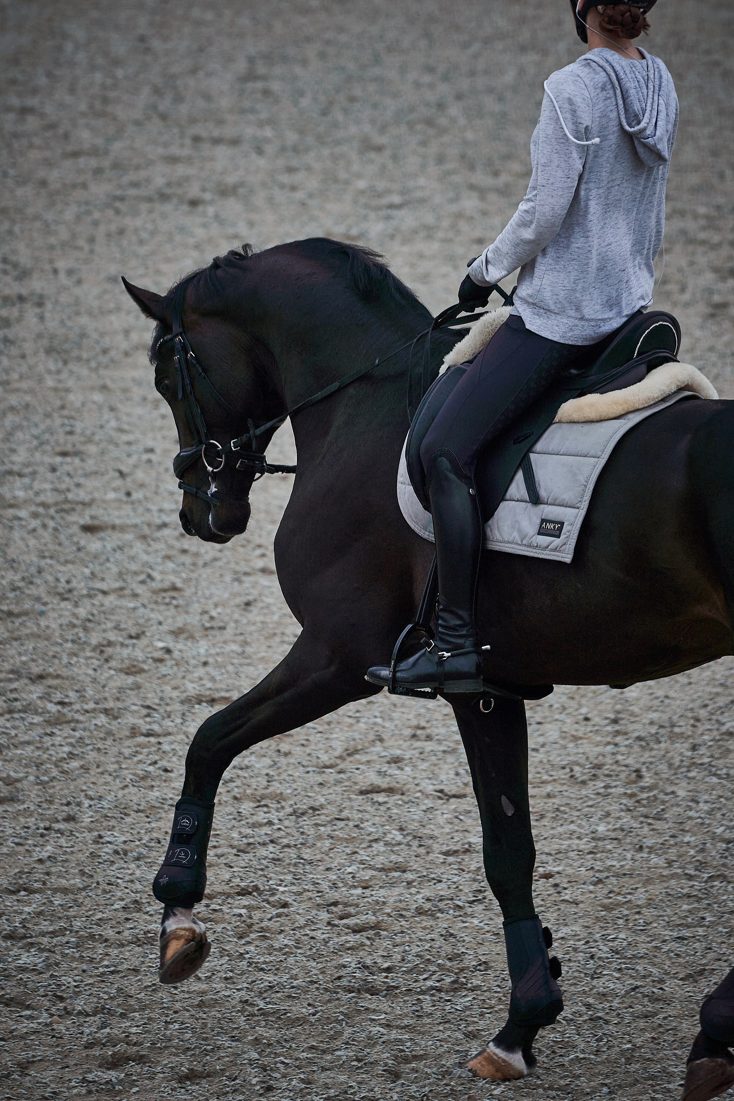 Анна и Наполи. Фотосессии с лошадьми в Москве, Новосибирске