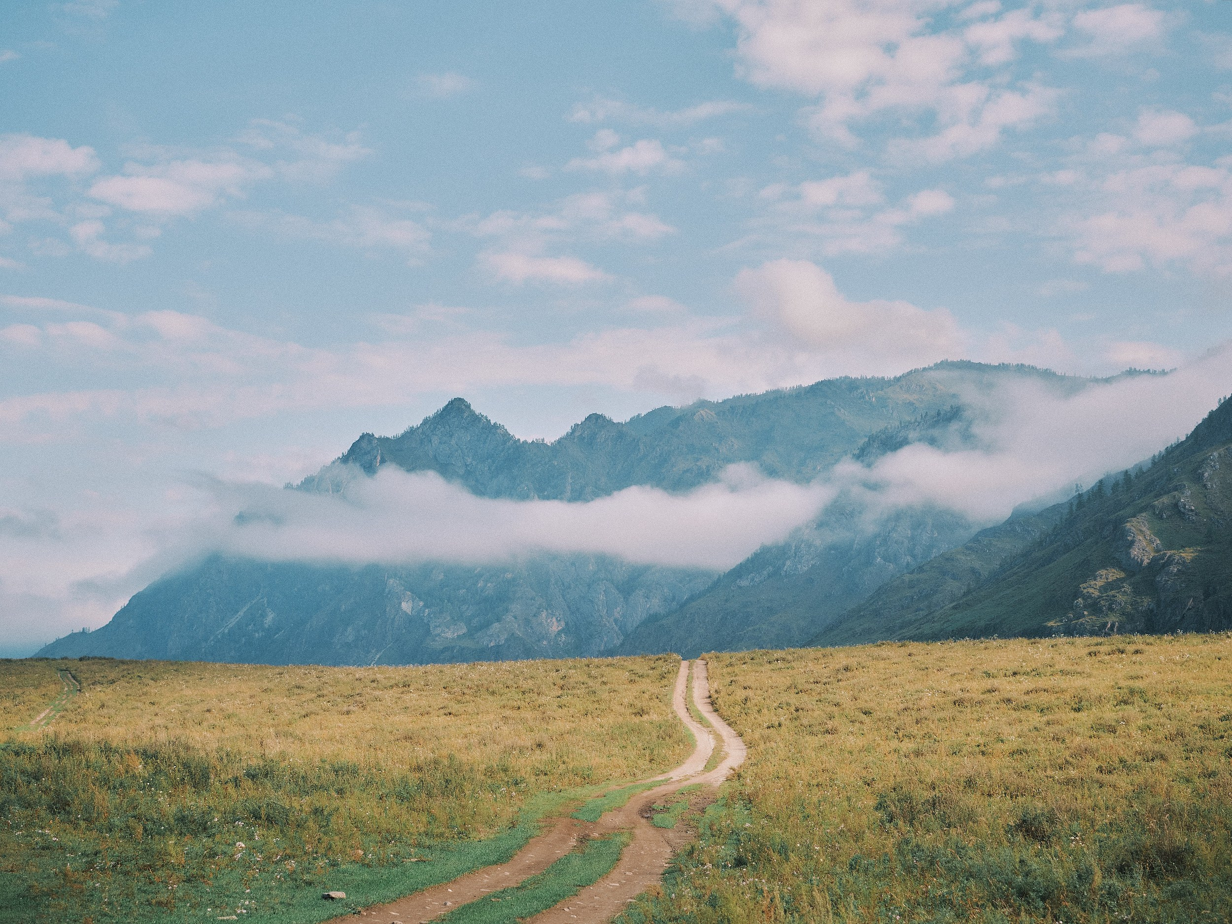 Поймать лето за хвост. Главная