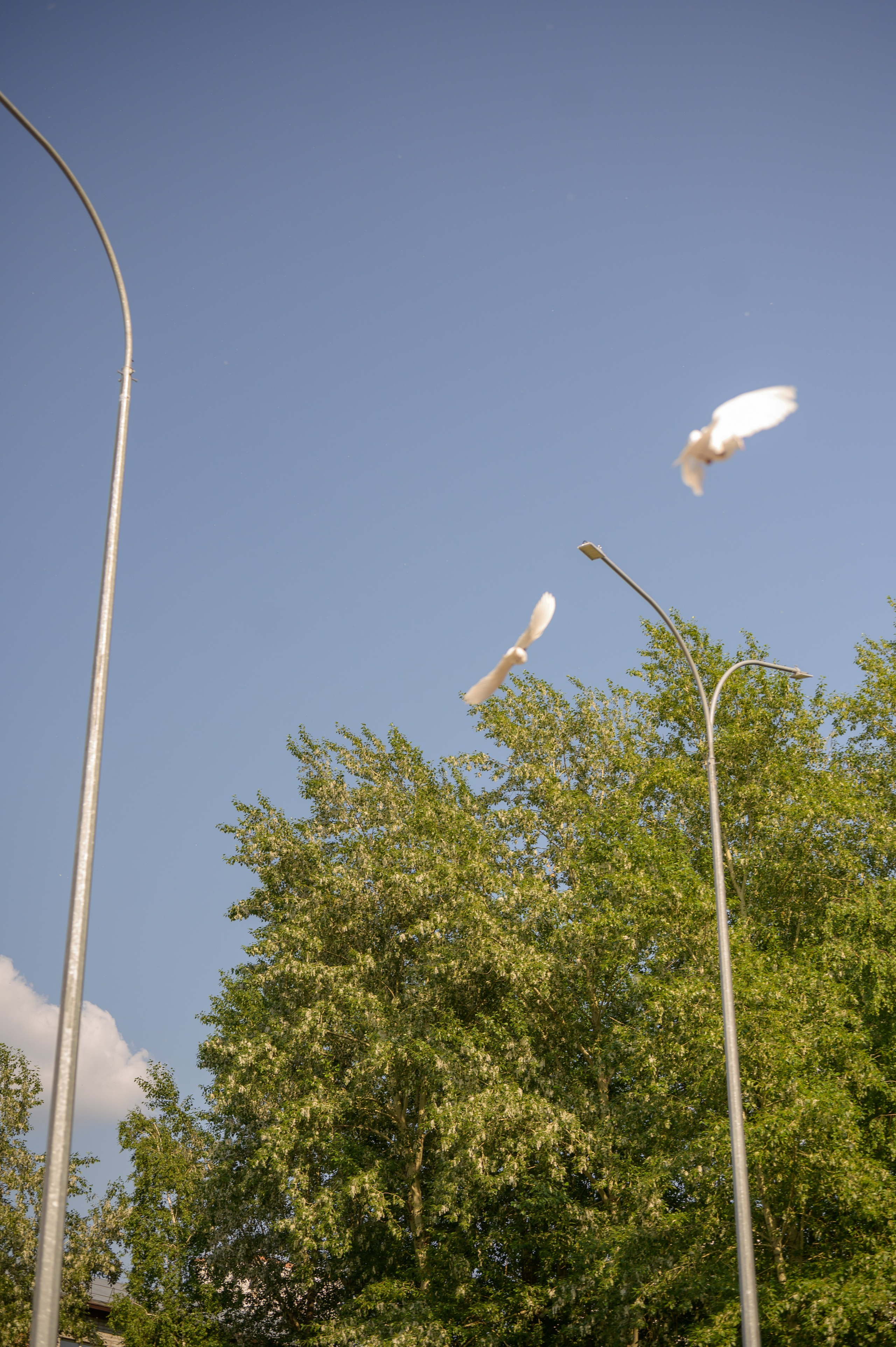Репортаж выпускного группа «Фантазёры» 3 садик. Фотограф новорожденных, семейный детский в Тюмени Татьяна Морозова