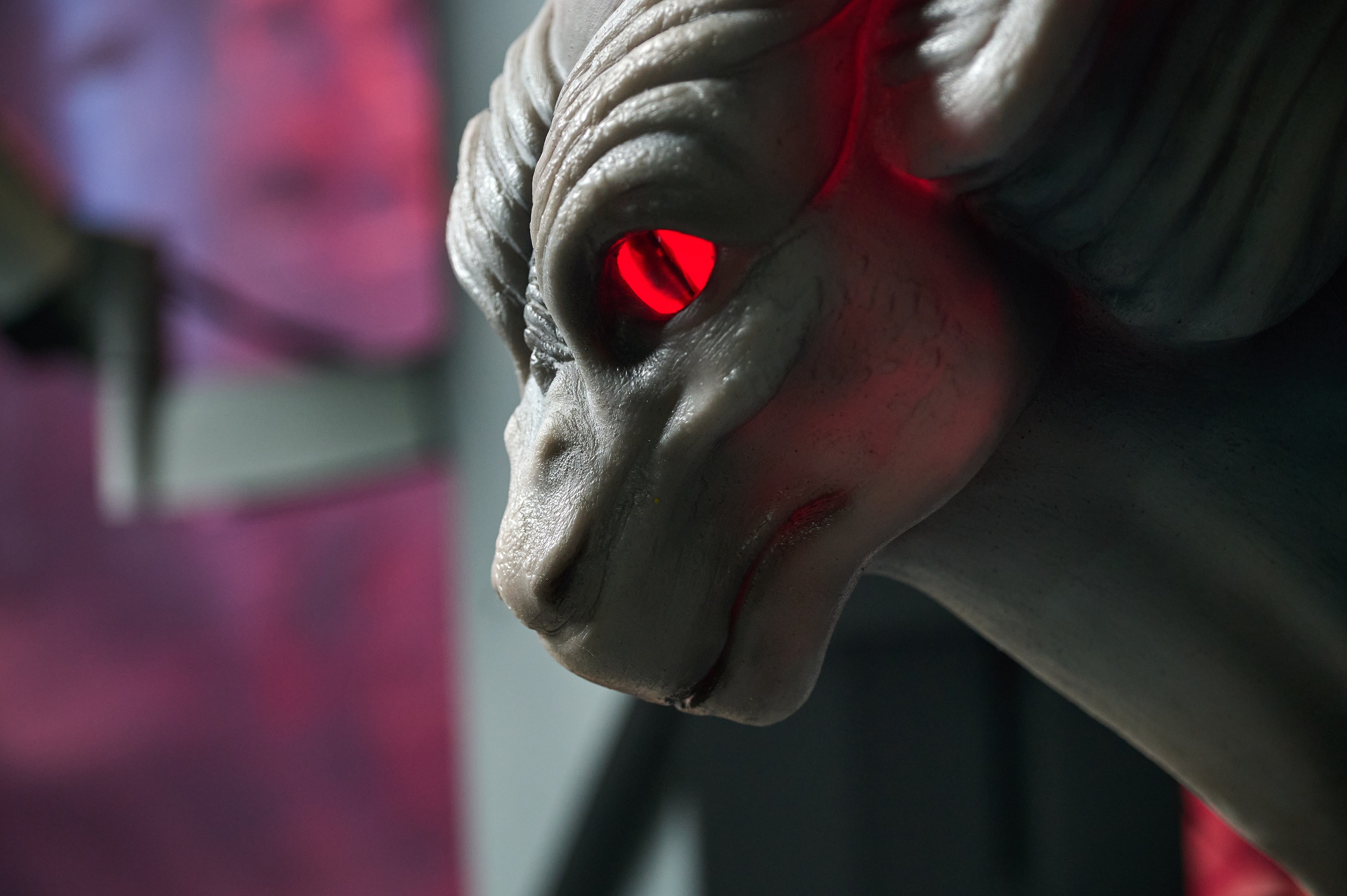 Вторжение инопланетян и криошоу. Фотограф Опыт Качество Скорость Горный Алтай Барнаул