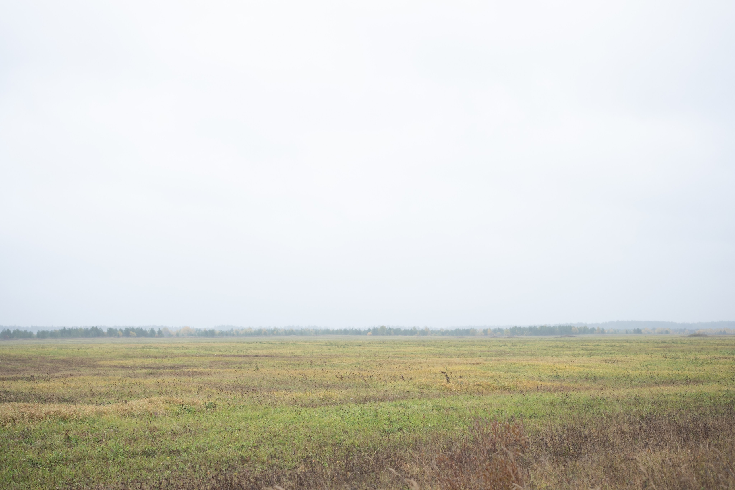 Ошевенский покой: Душа Севера. Кристина — портретный фотограф