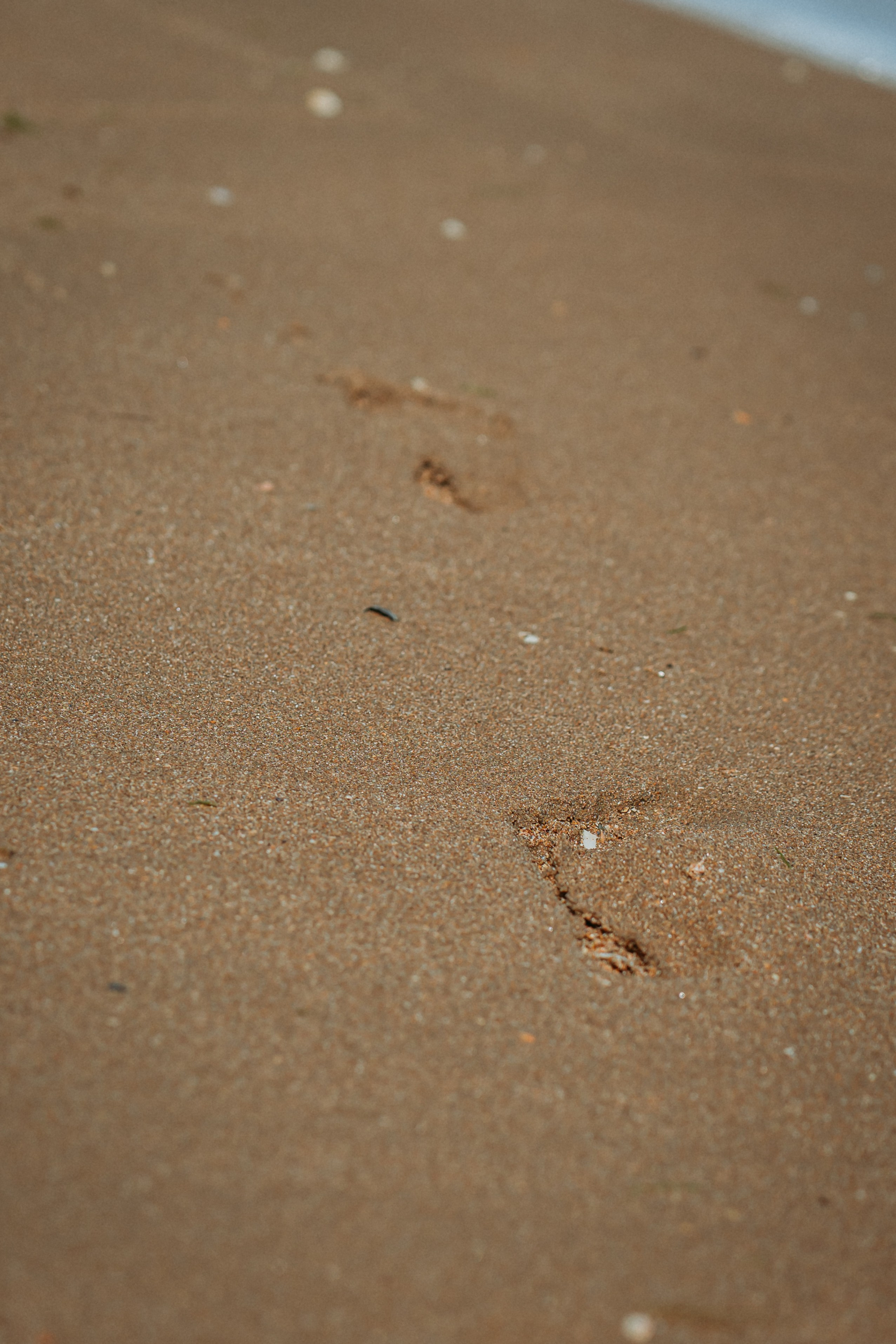 Детская фотосессия на море, на природе. ФОТОГРАФ В МОСКВЕ ЛЮДМИЛА СТРОКОВА