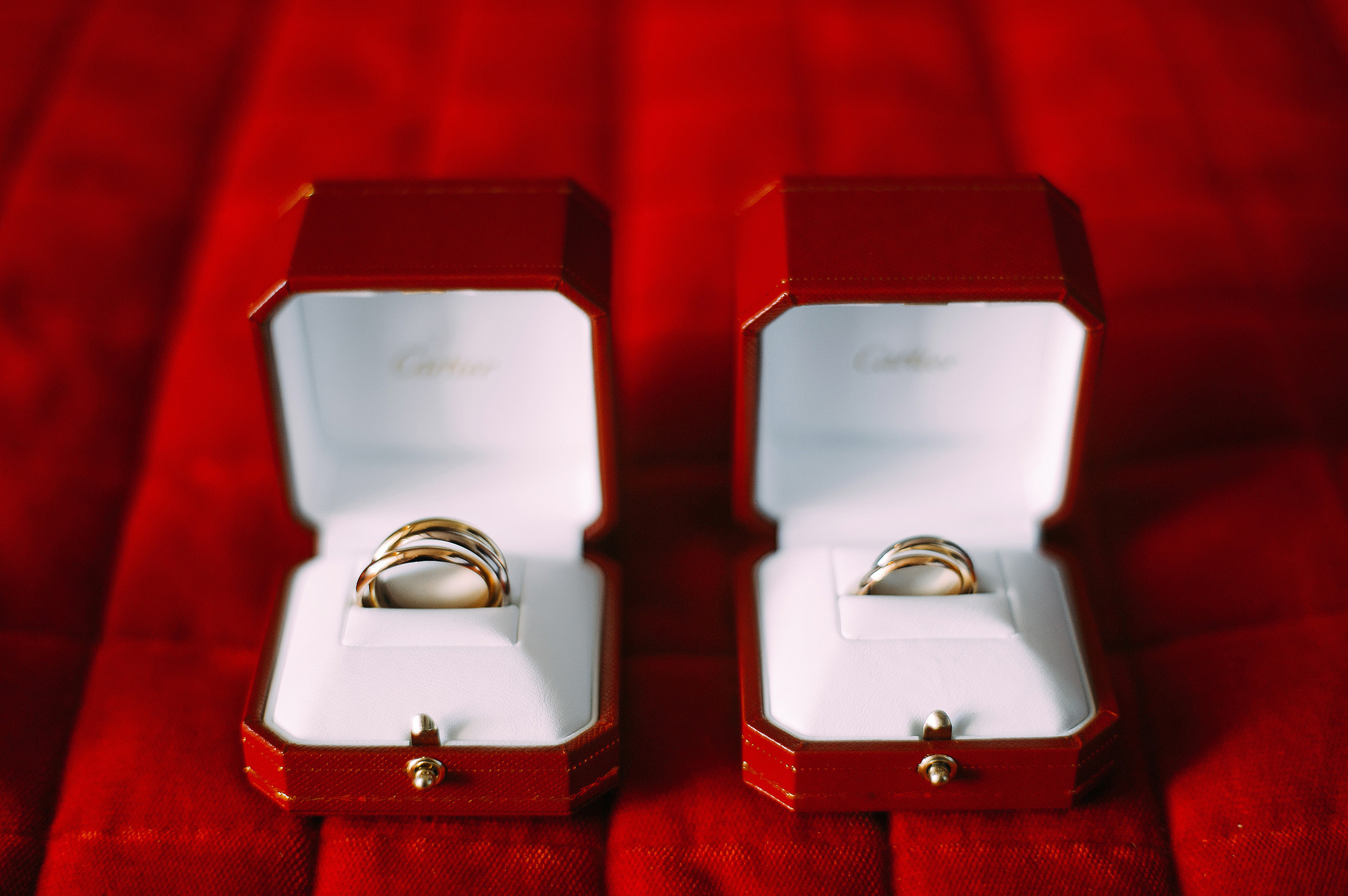 Фотограф Анна Руданова. Свадебный день Виктории и Сергея. Москва. Парк