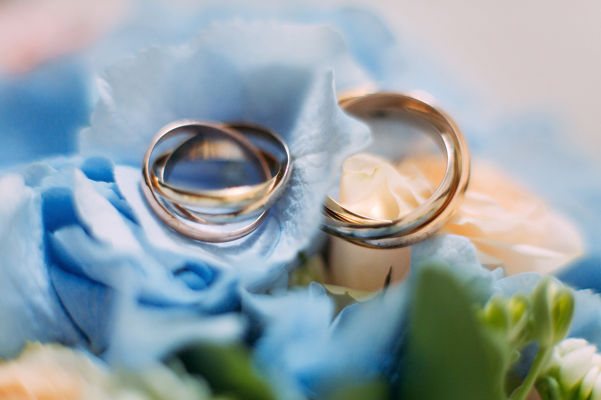 Фотограф Анна Руданова. Свадебный день Виктории и Сергея. Москва. Парк