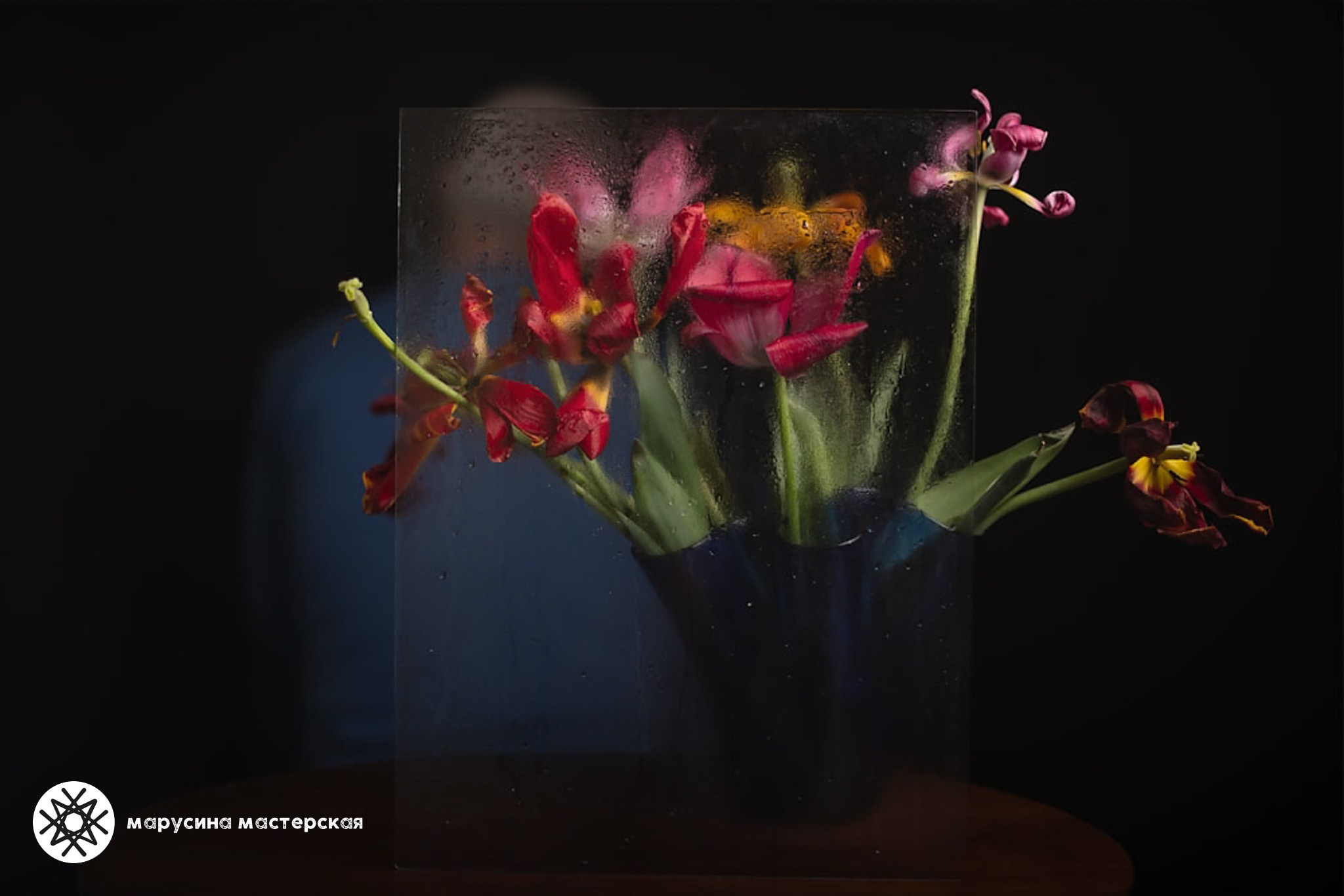 Вера Парамонова