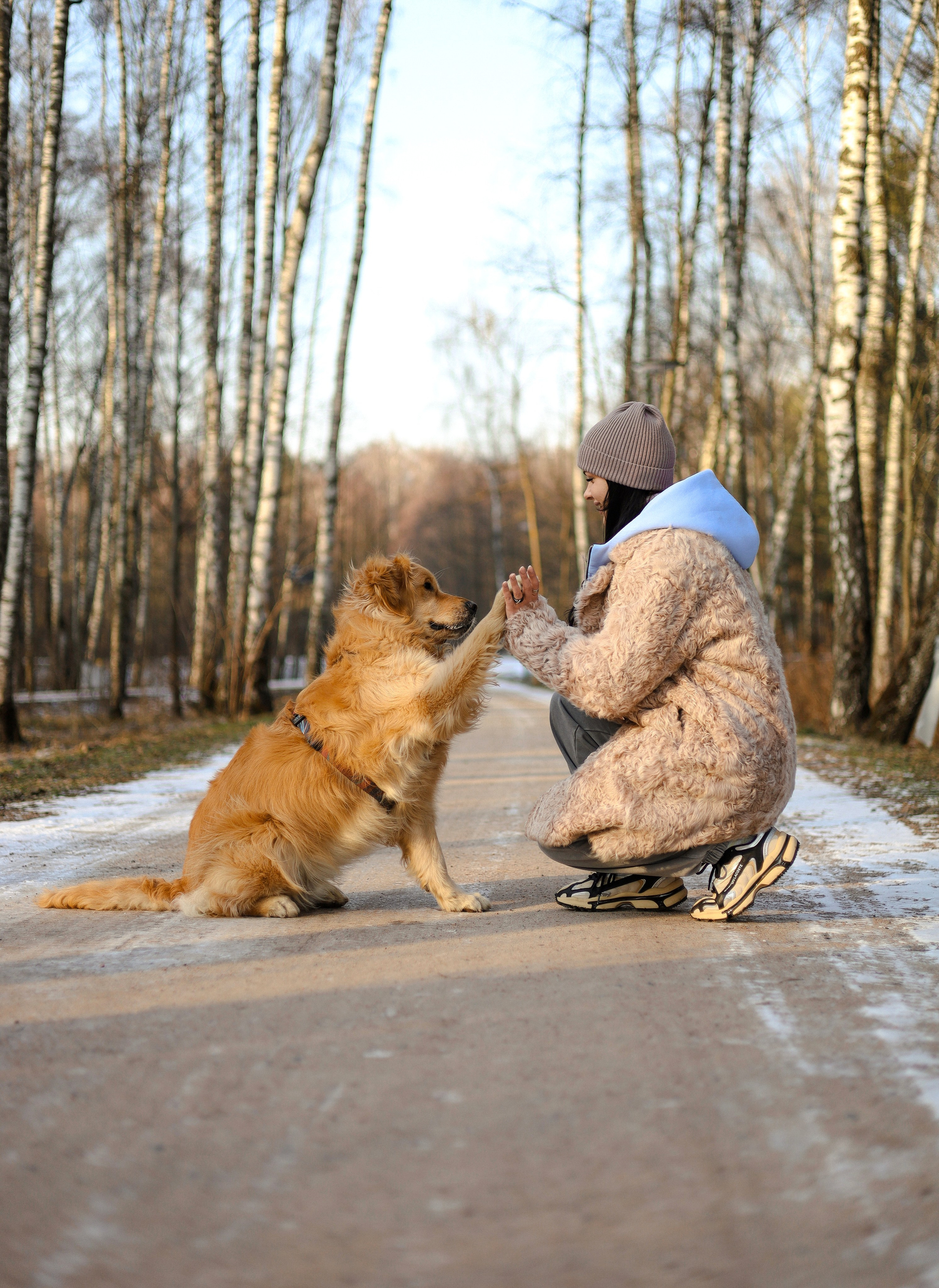 Лёва и Катя. Фотограф-анималист Ксения Шевцова|Москва