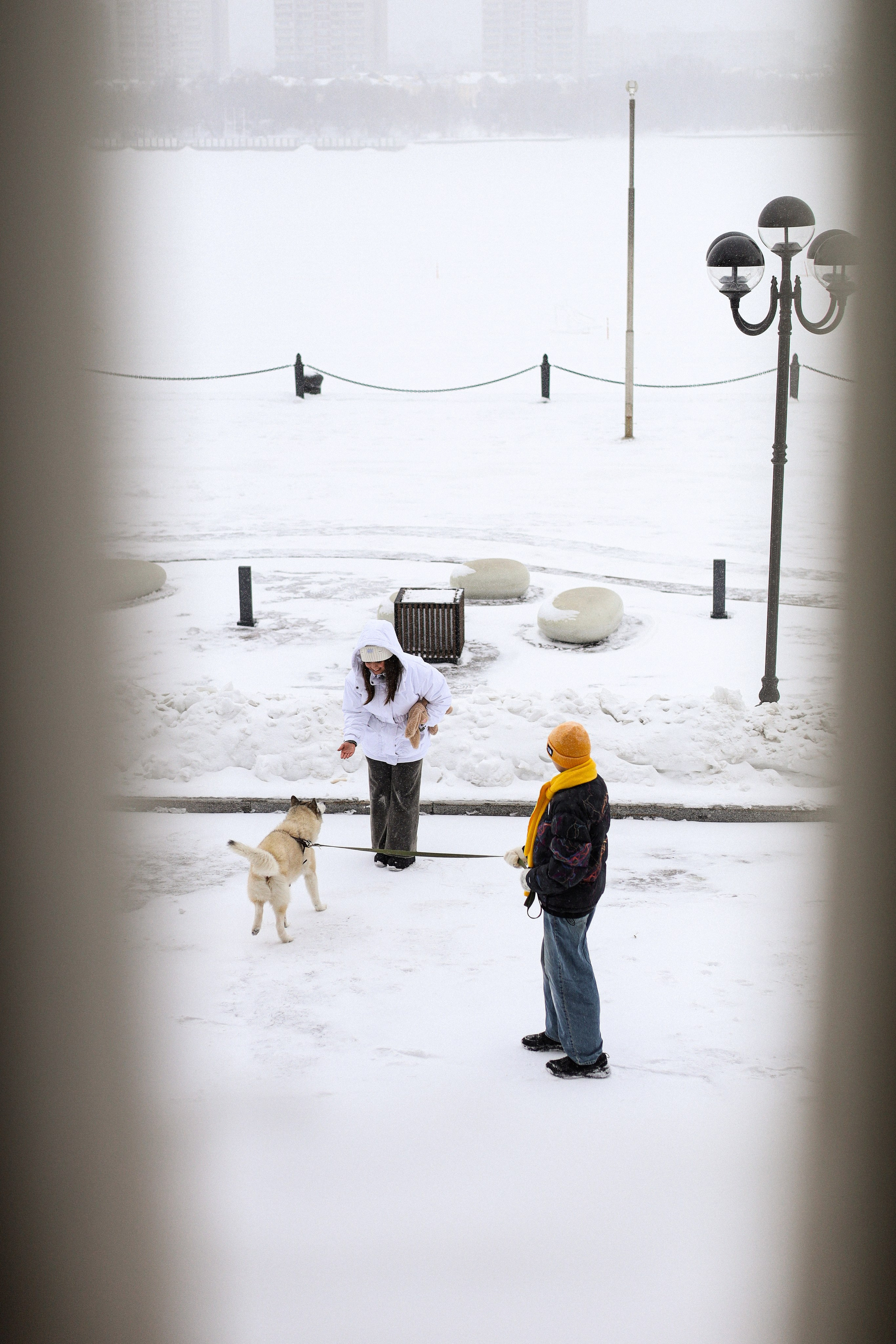 Мила, Лиза и Матвей. Фотограф-анималист Ксения Шевцова|Москва