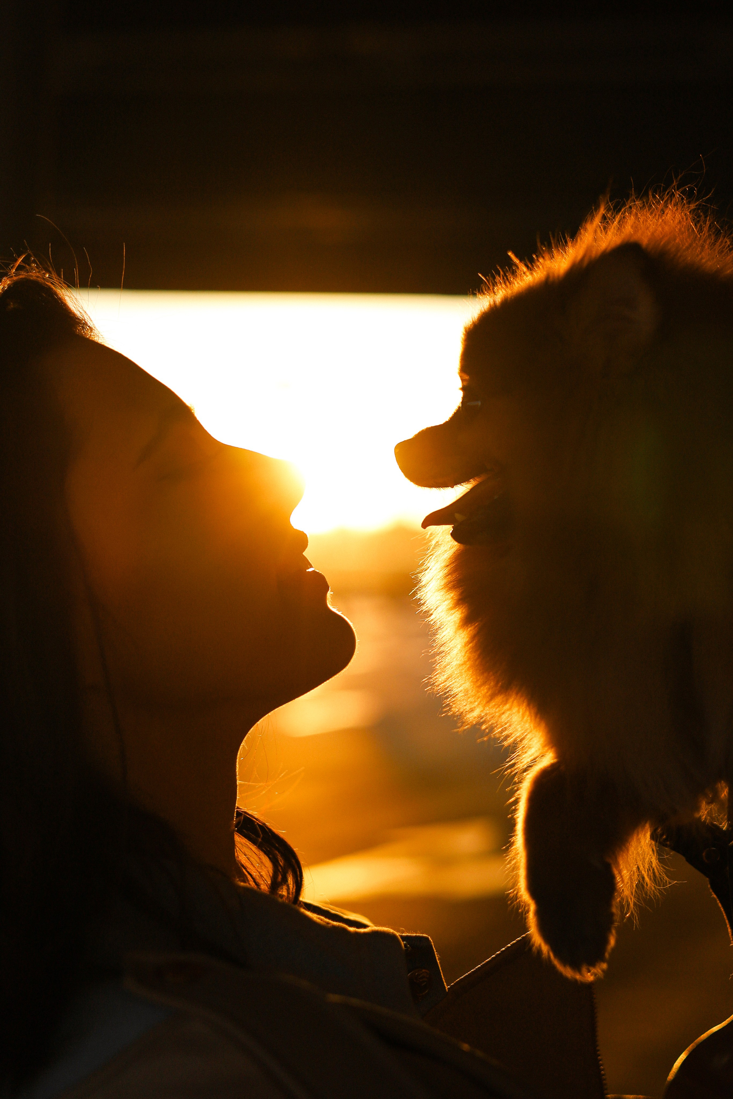 Мика и Лена. Фотограф-анималист Ксения Шевцова|Москва