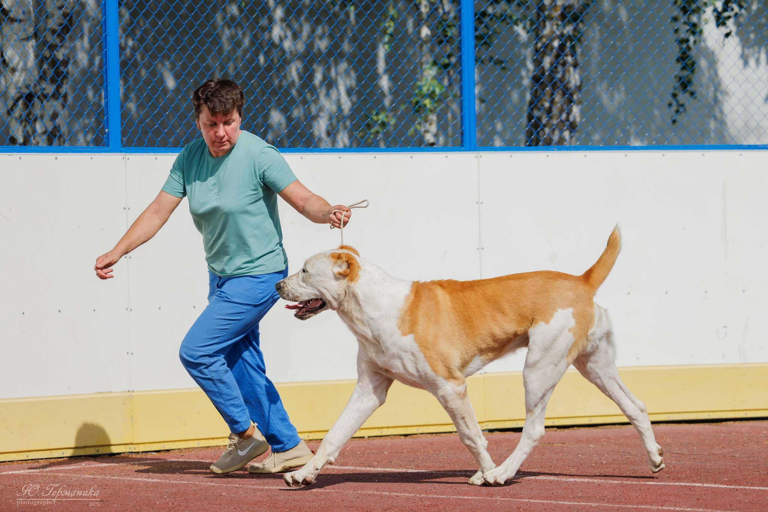 Коломна 30.08.2025. Фотограф-анималист Юлия Германика