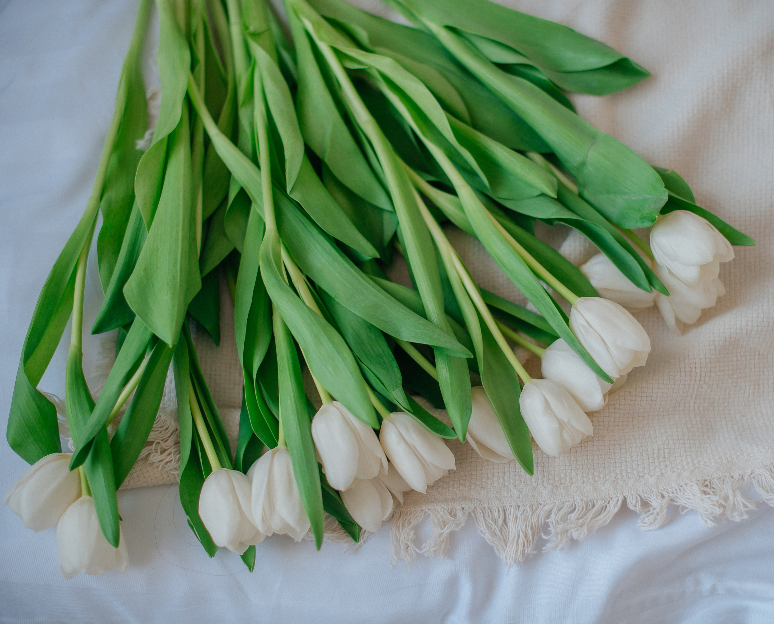 Александра, Алина, Богдана. Фотограф Виктория Воронина