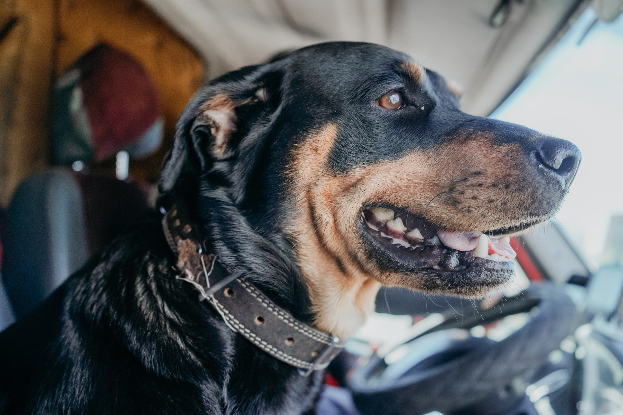 Репортажная съемка. Фотограф в Улан-Удэ. Свадебный фотограф в Улан-Удэ