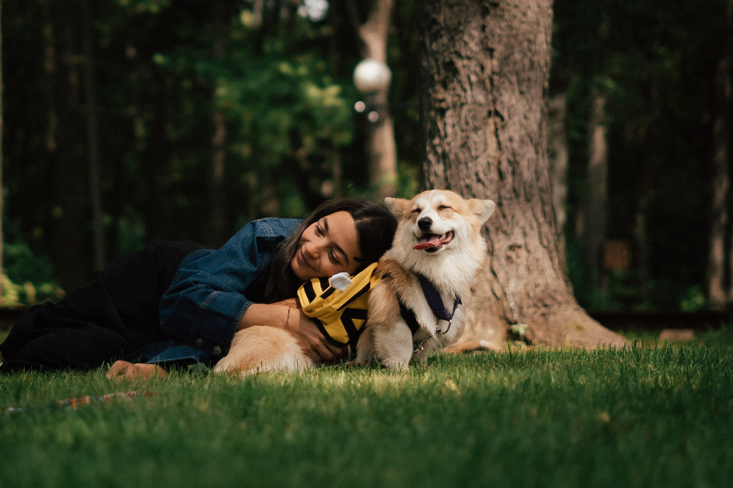 Фотосессия с собакой сахалин. Фотограф сахалин
