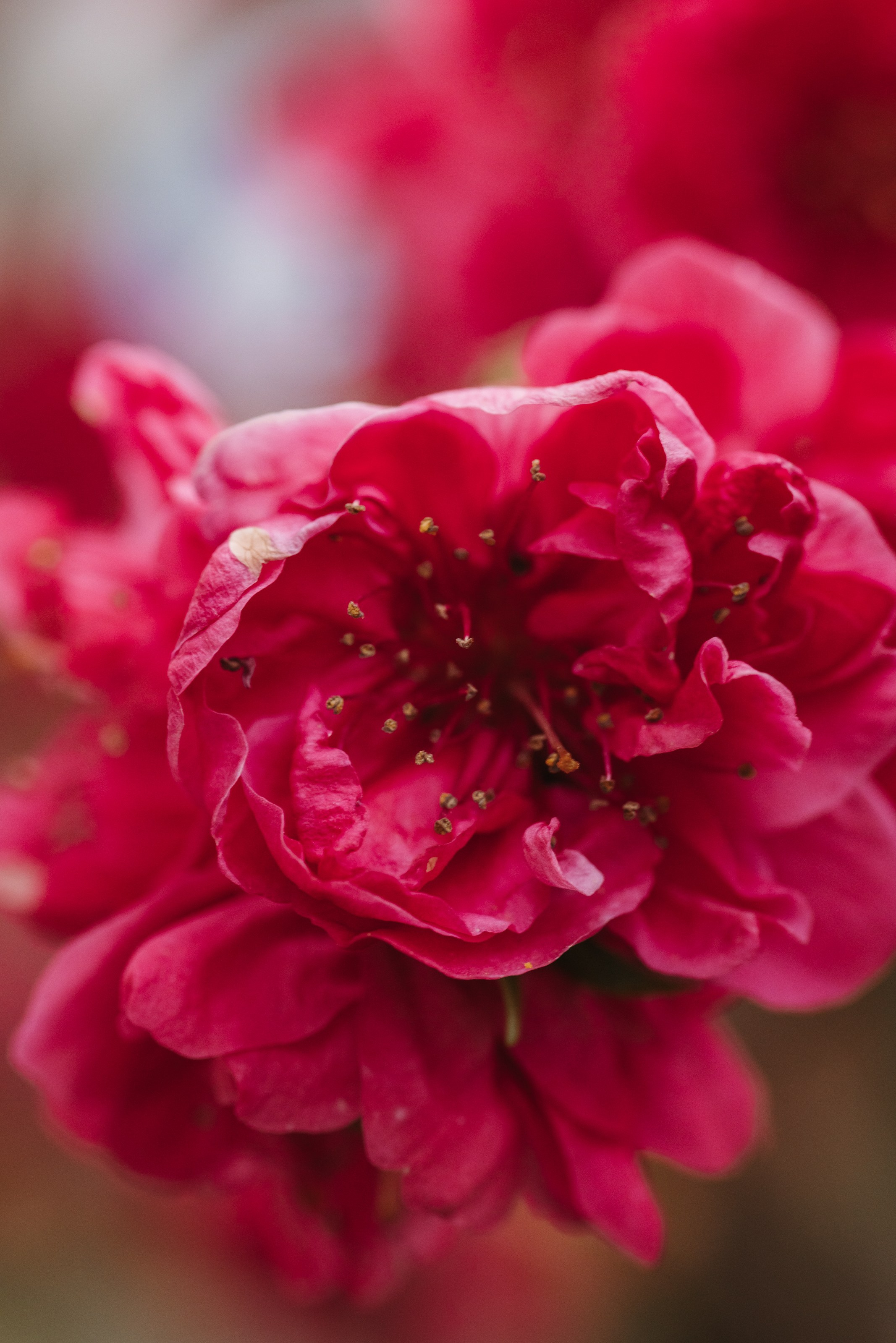 Macro. Фотограф на Юге России